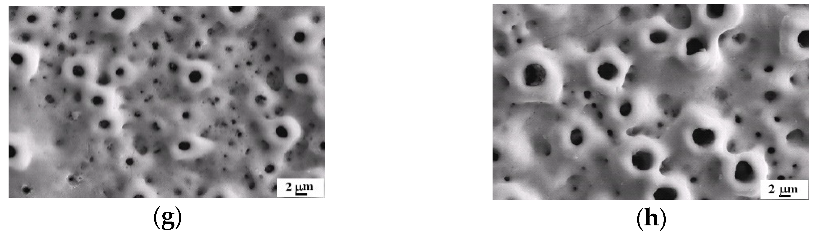 Materials 14 05710 g002b