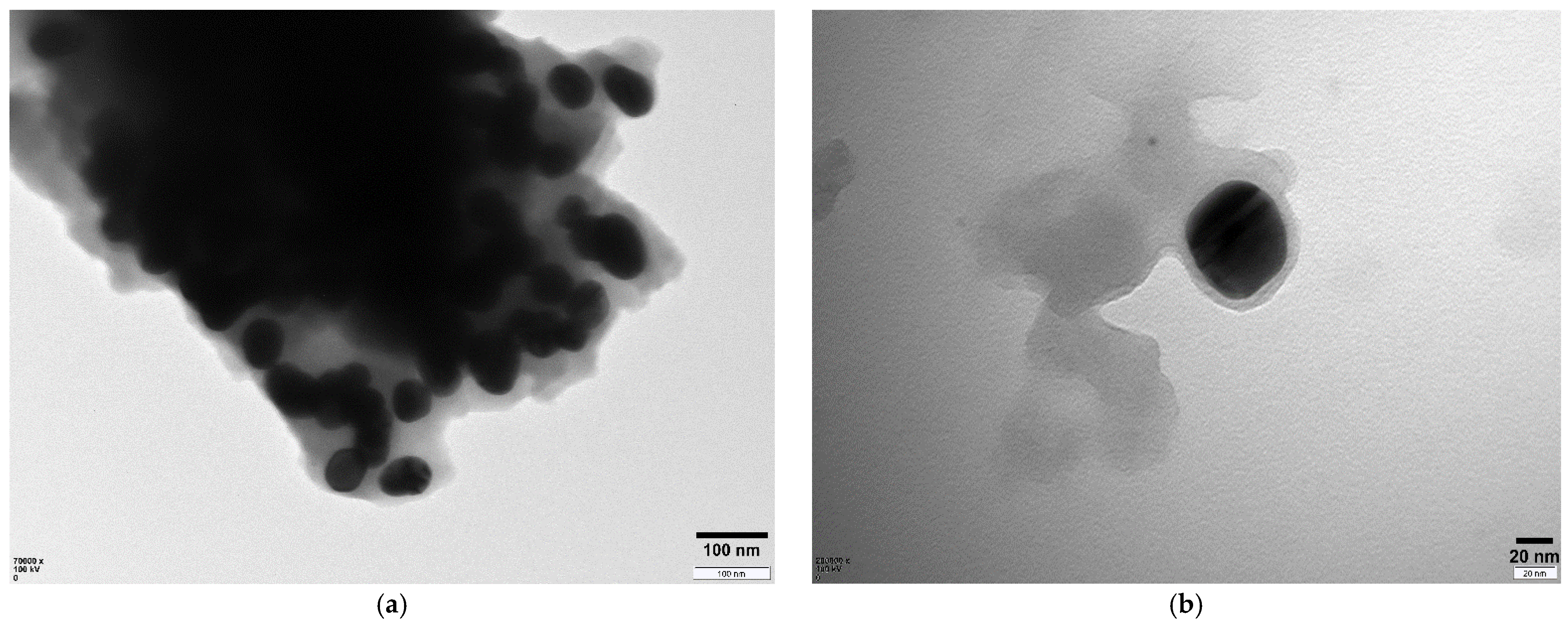 Materials 14 06085 g002