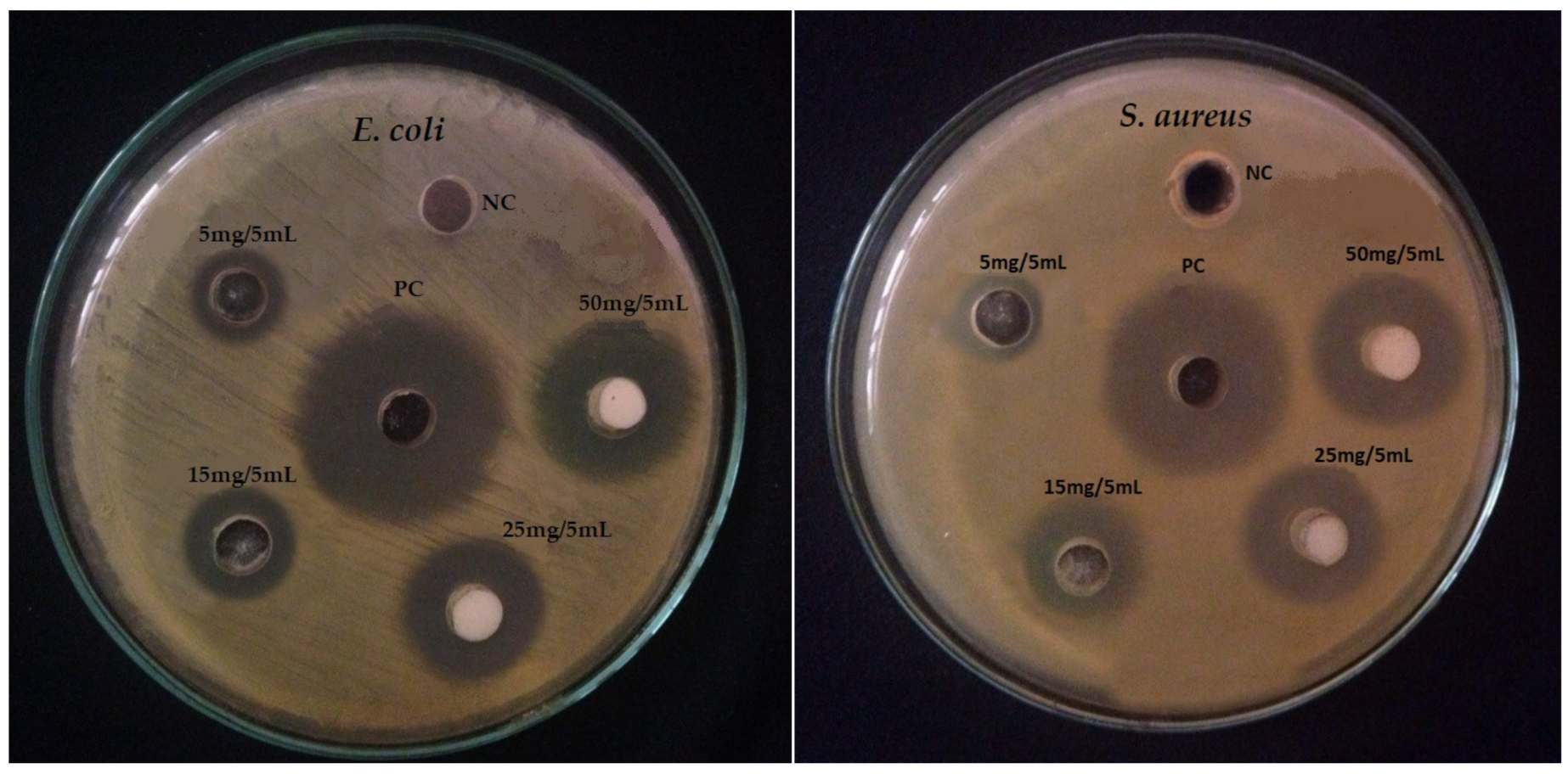 Materials 14 06085 g008