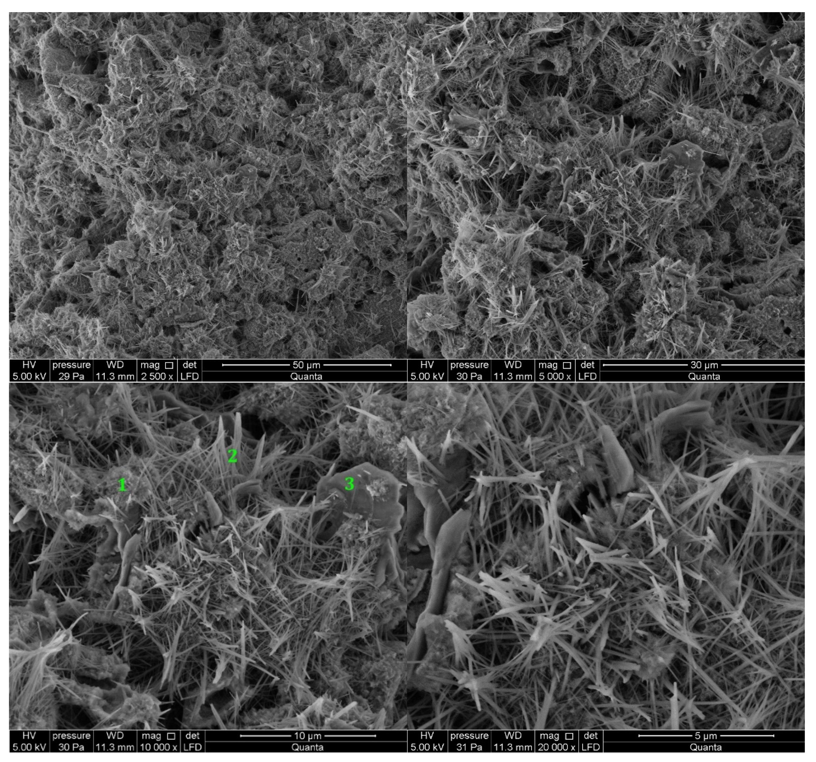 Materials 14 06300 g005