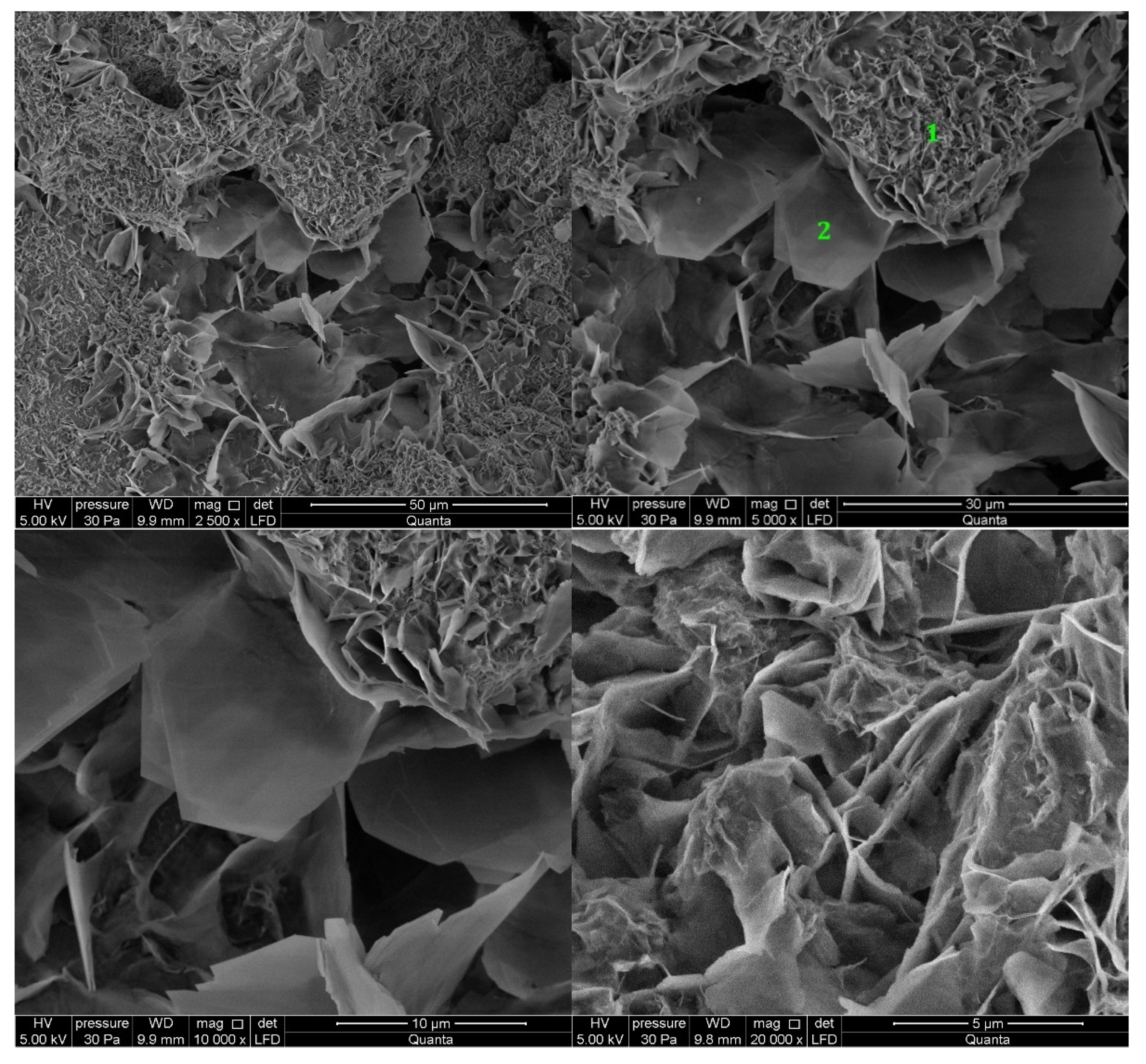 Materials 14 06300 g006