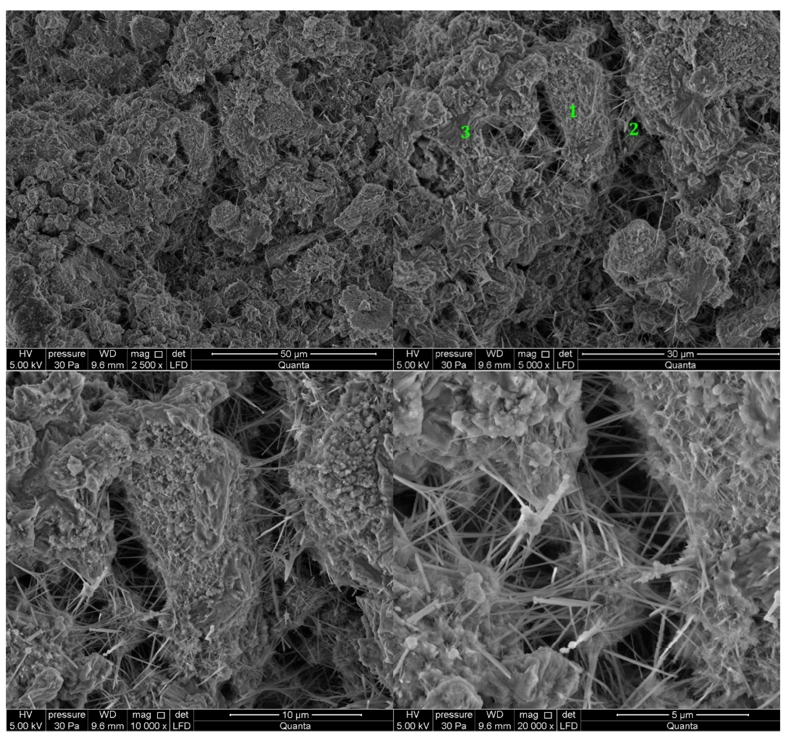 Materials 14 06300 g007