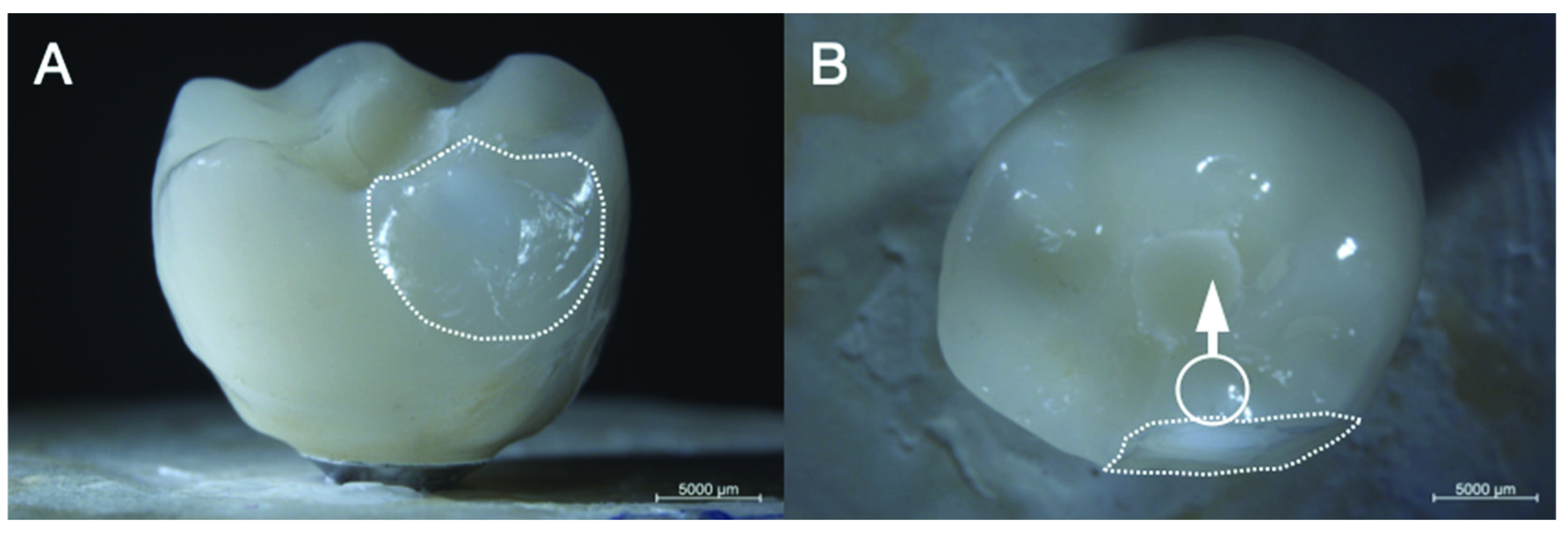 Materials 14 07539 g002