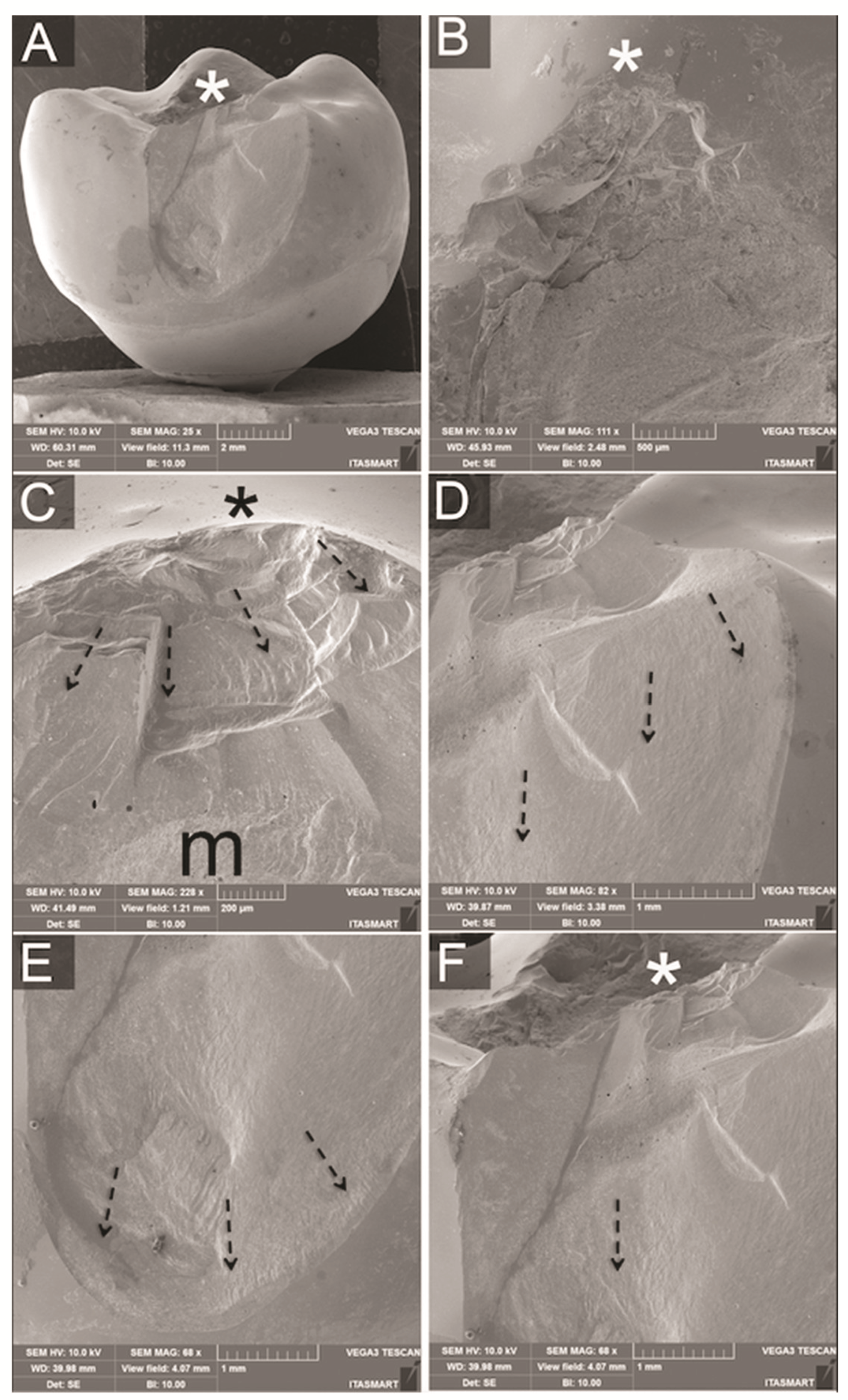 Materials 14 07539 g005