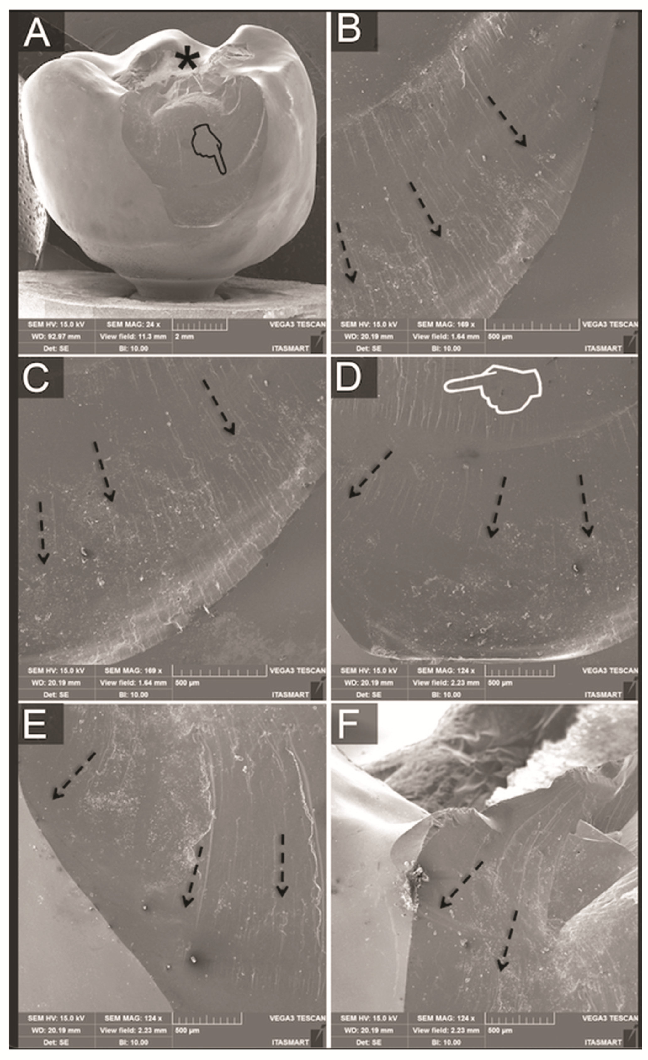 Materials 14 07539 g006