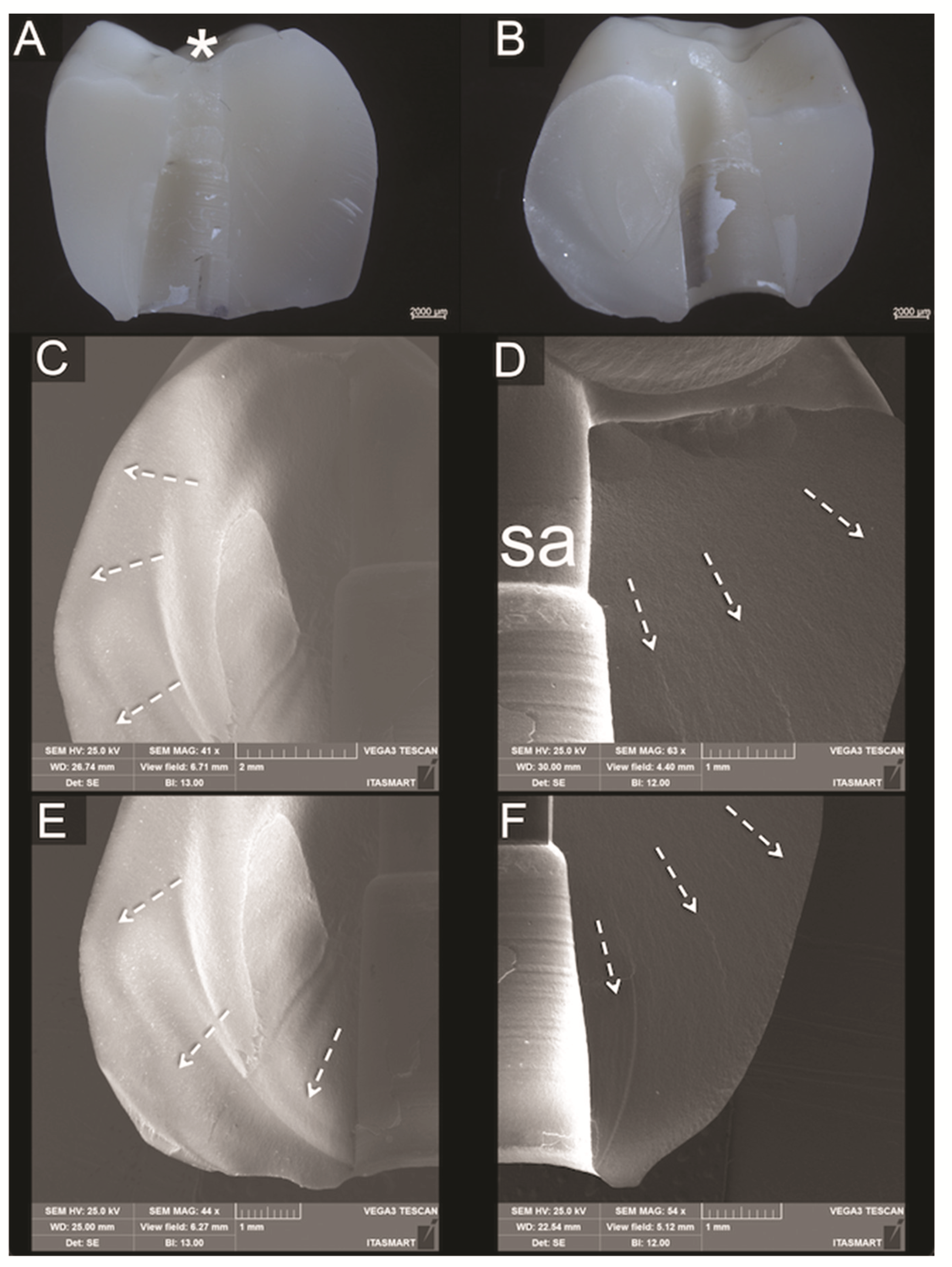 Materials 14 07539 g007