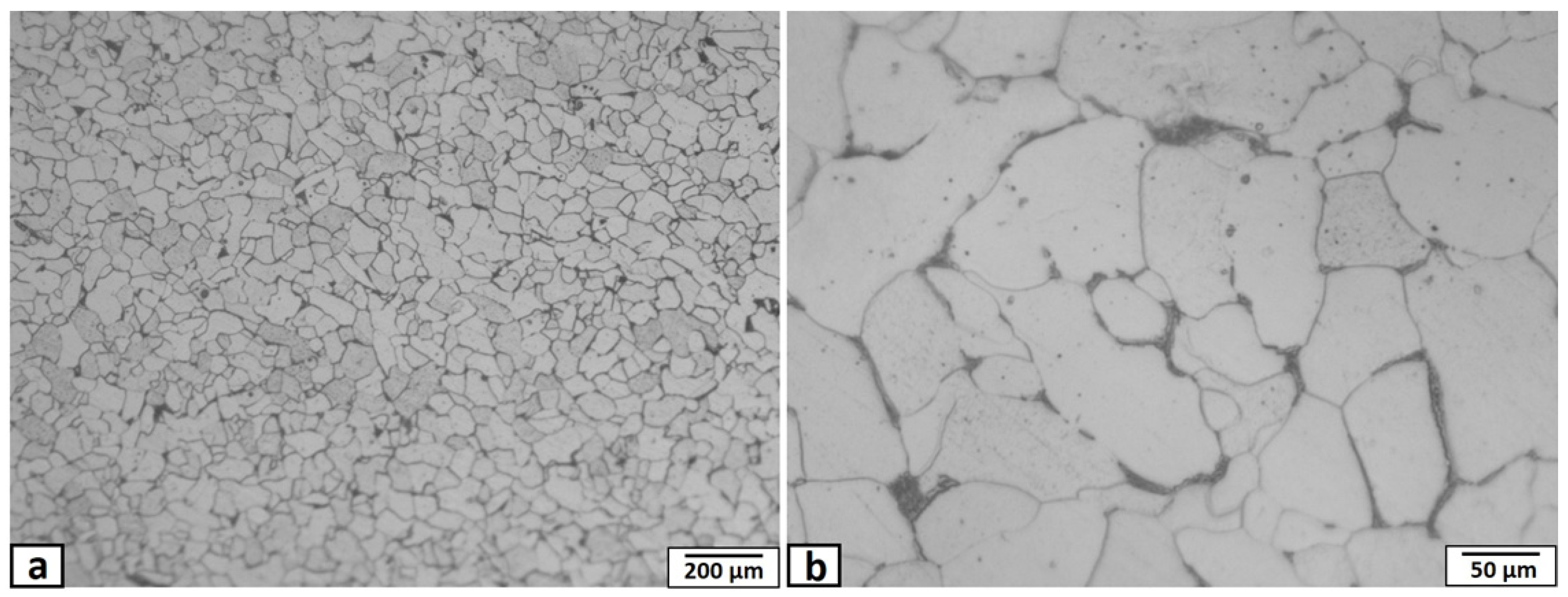 Materials 14 07611 g001