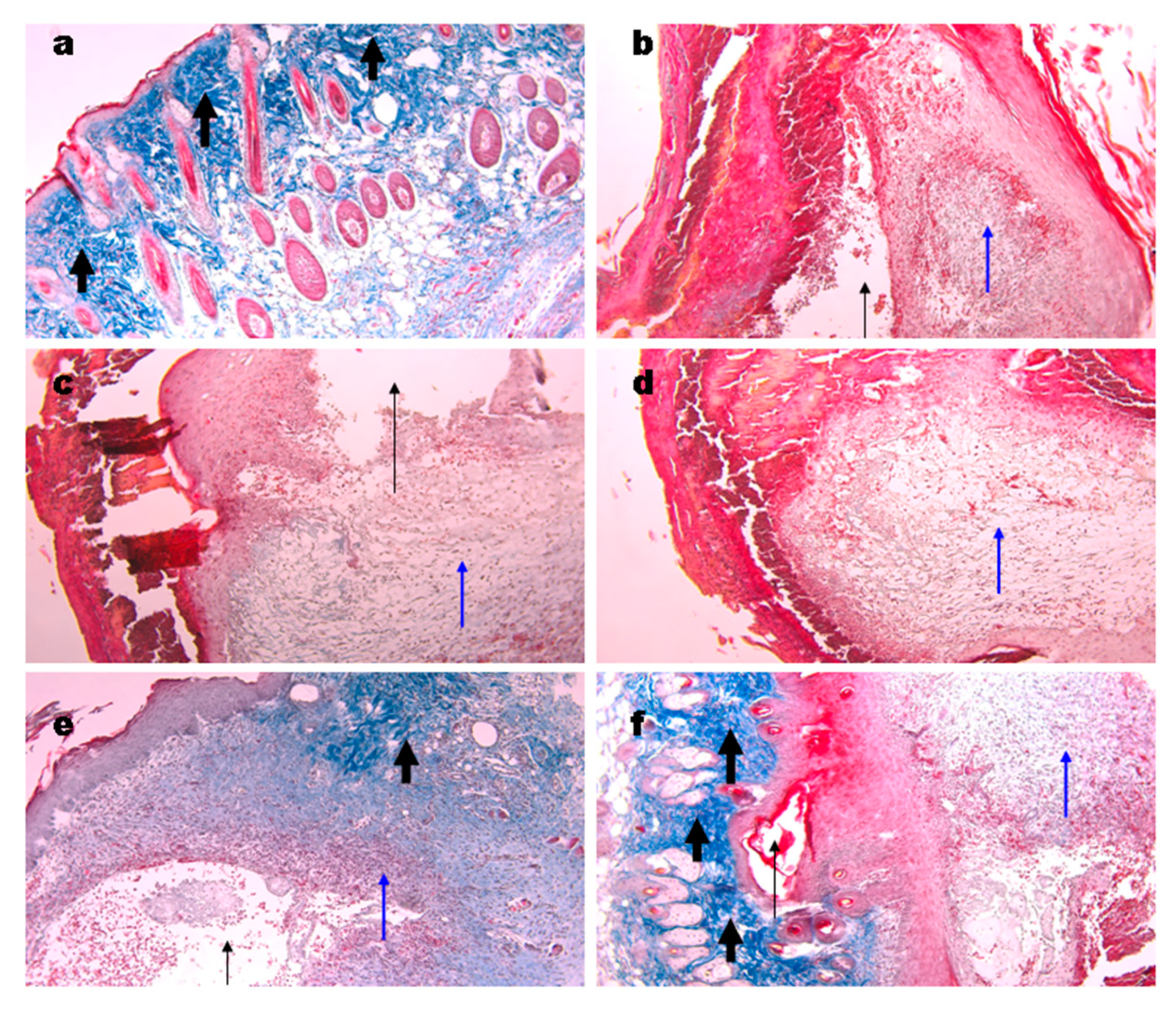 Materials 15 00015 g008