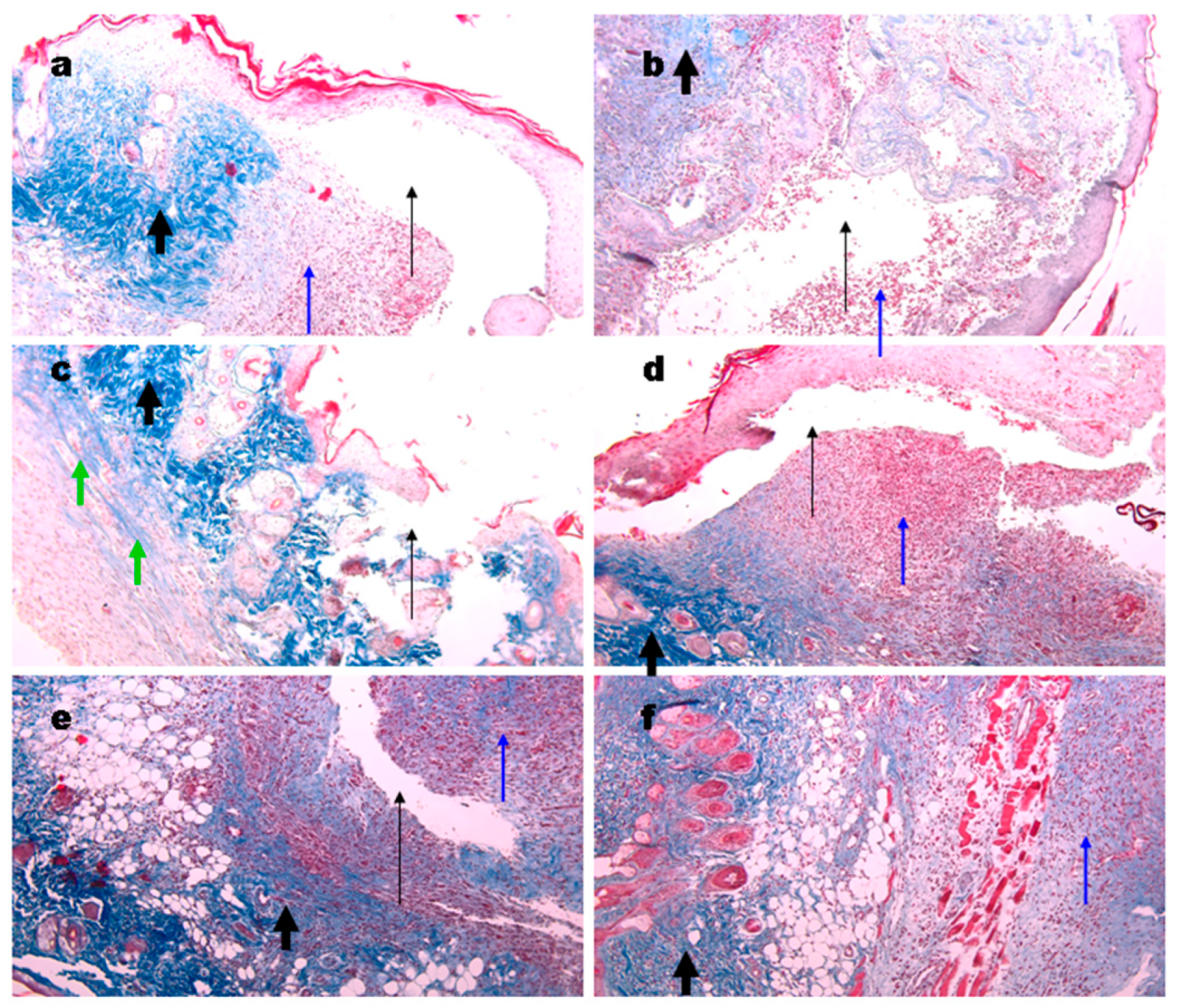 Materials 15 00015 g009
