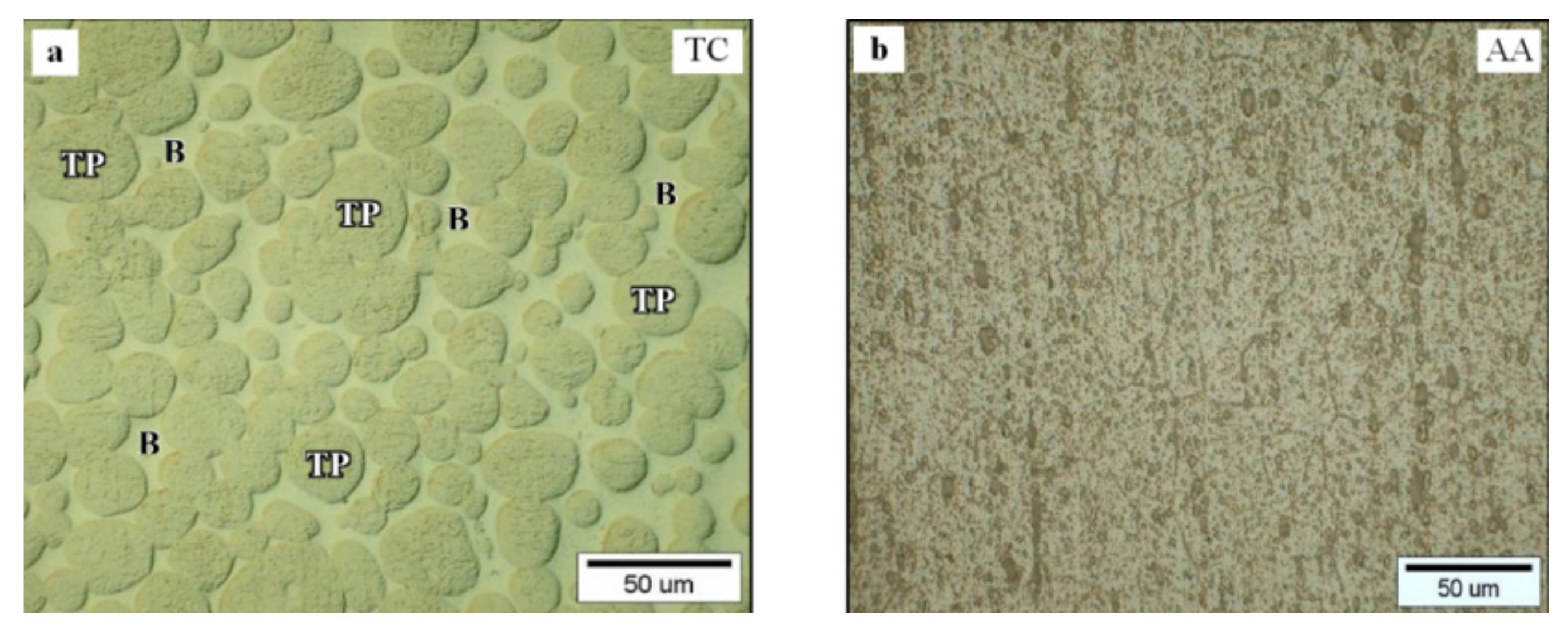 Materials 15 01162 g001