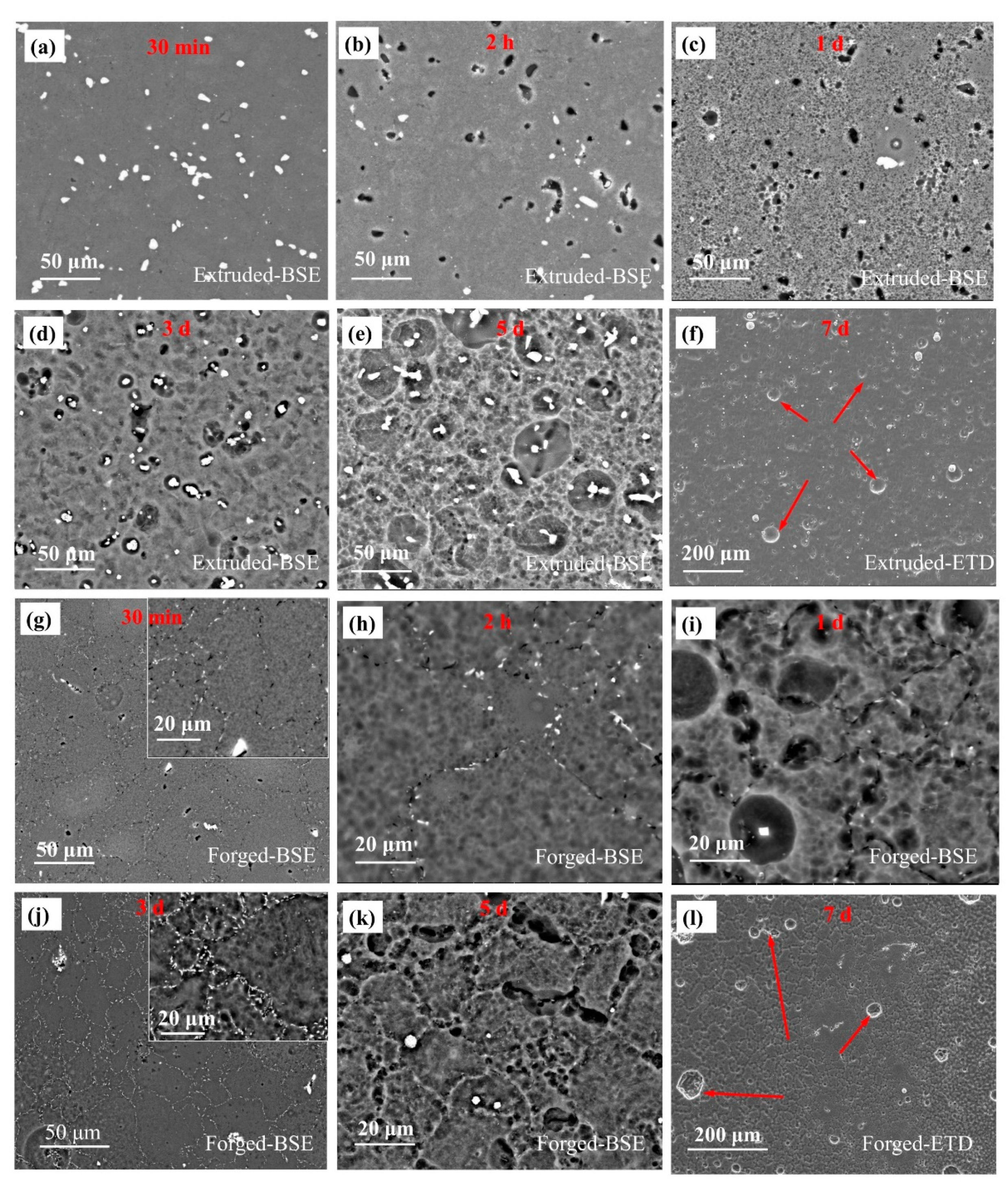Materials 15 01622 g005
