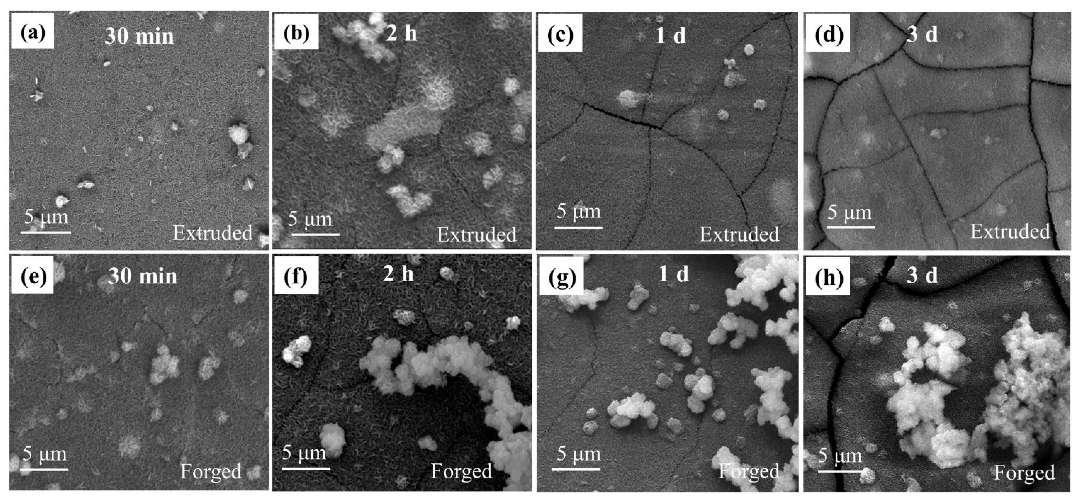 Materials 15 01622 g006