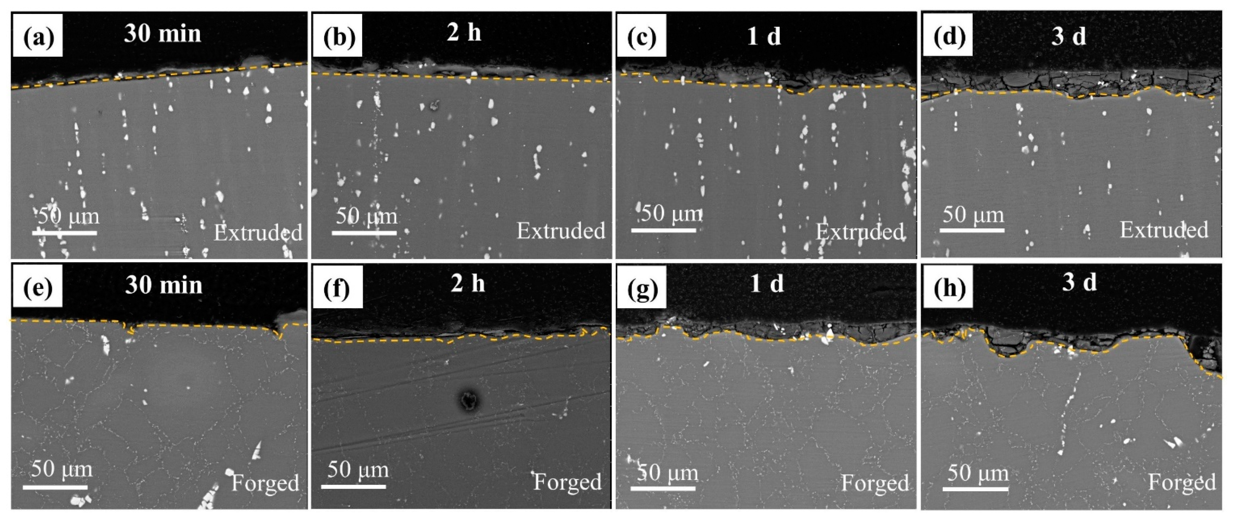 Materials 15 01622 g007