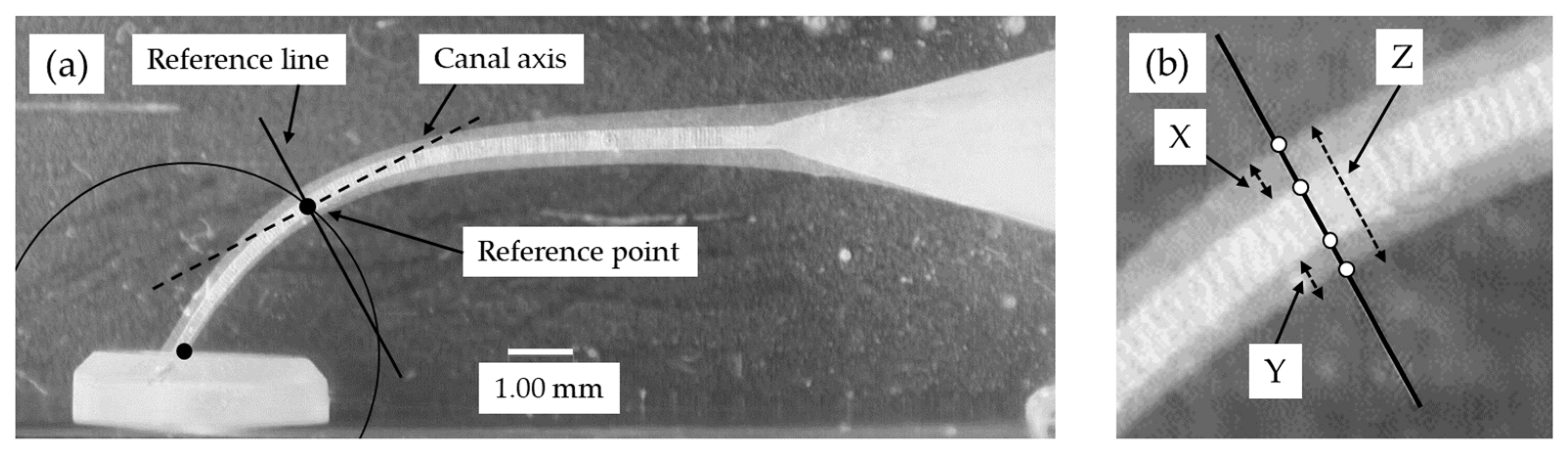 Materials 15 02724 g002