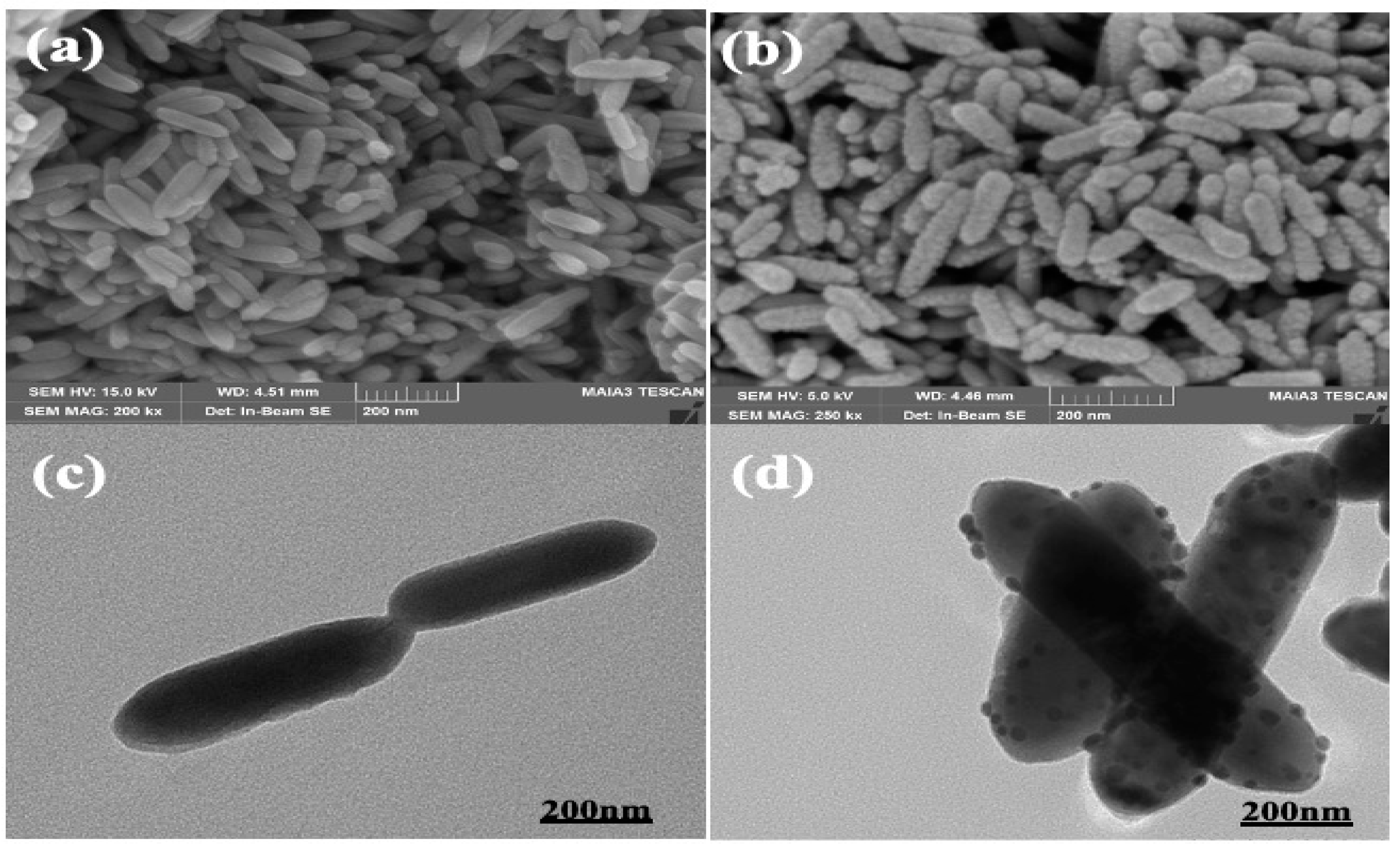 Materials 15 04813 g001