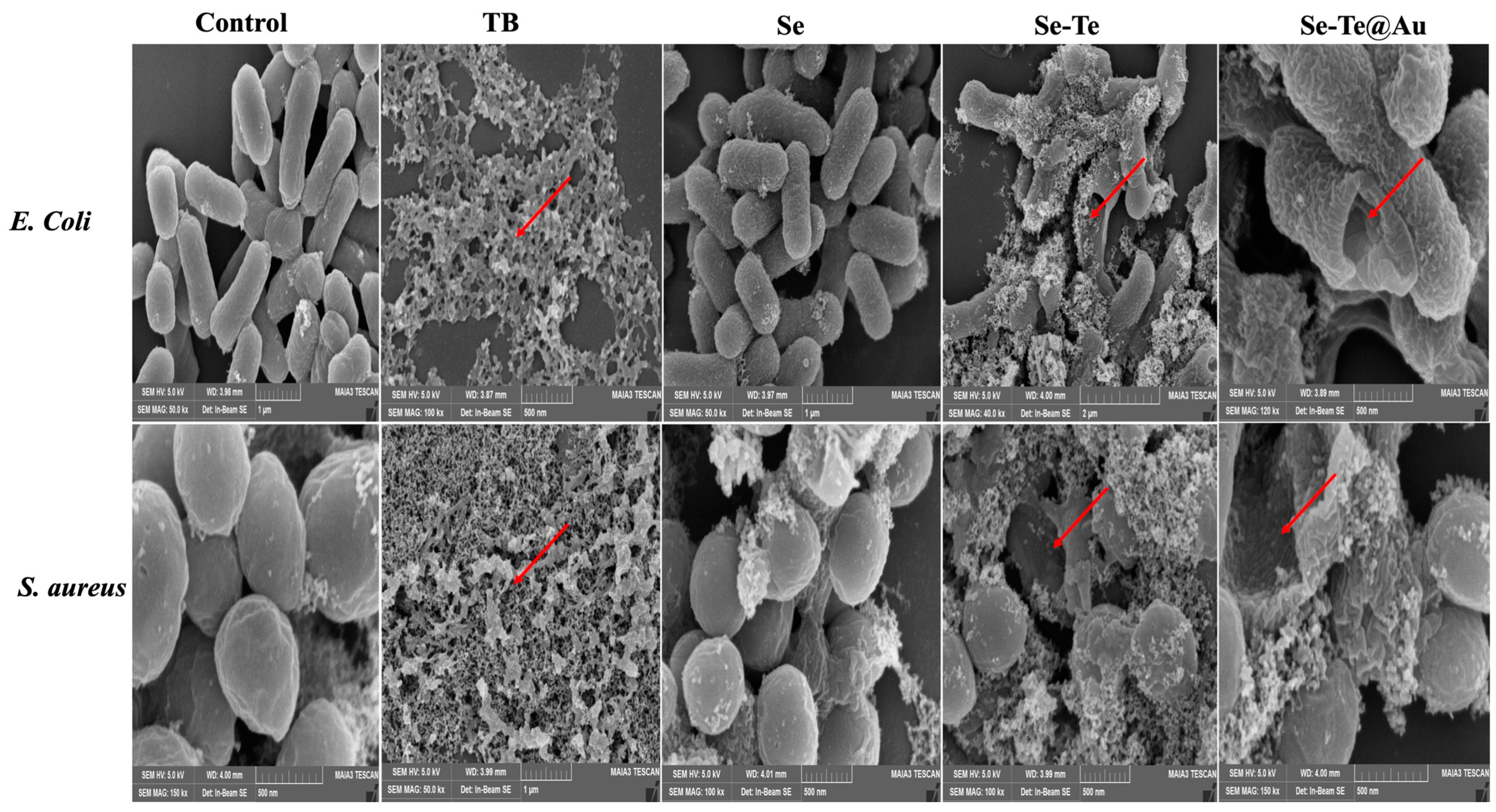 Materials 15 04813 g007