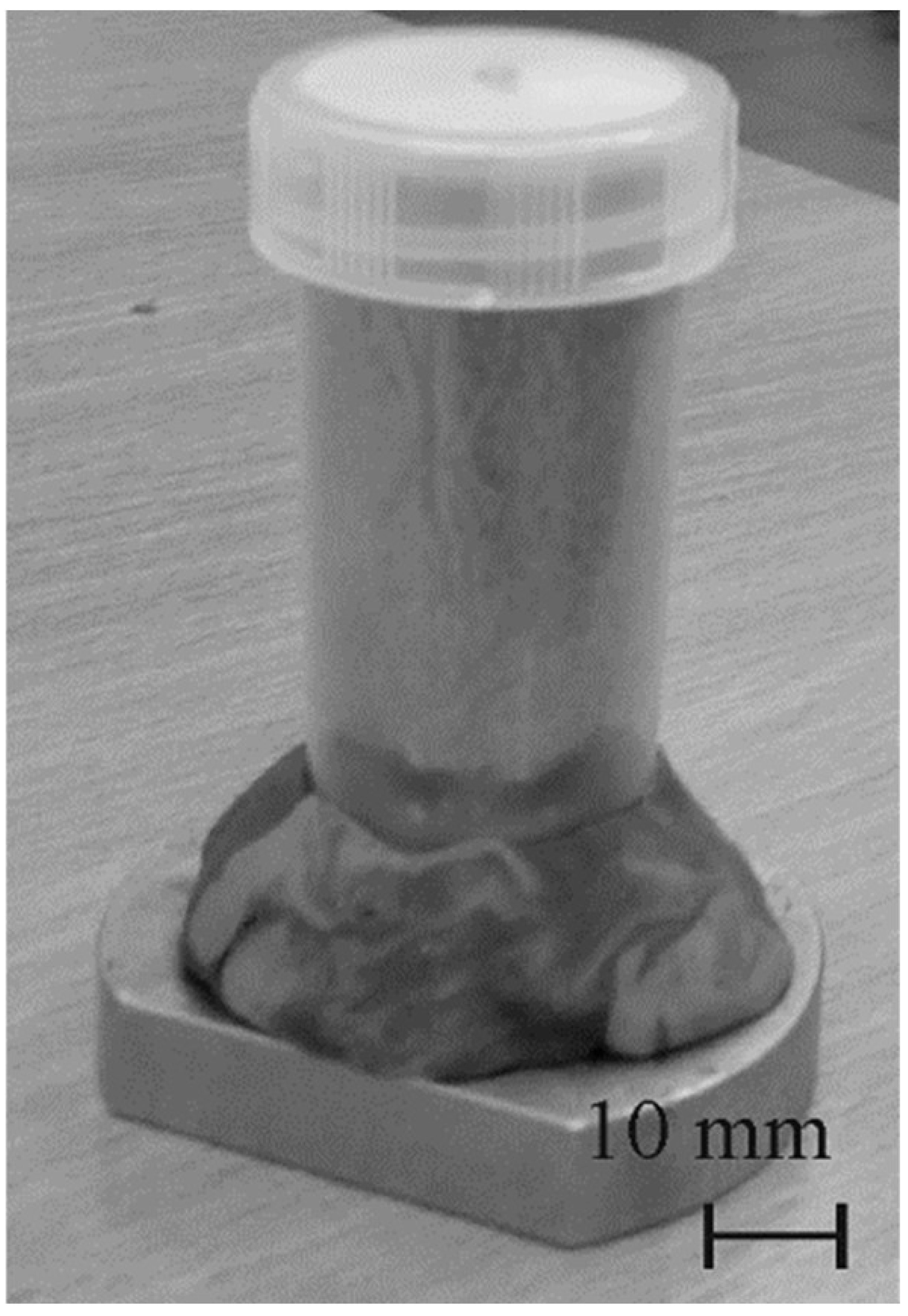 Materials 15 05891 g001