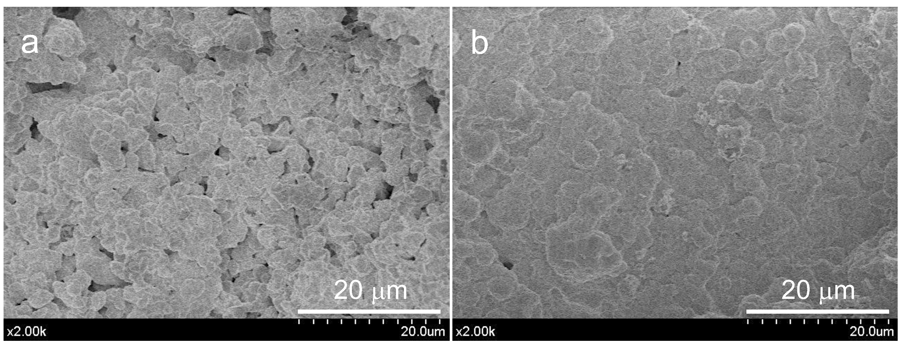 Materials 15 06051 g010