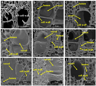 Materials 15 06187 g006