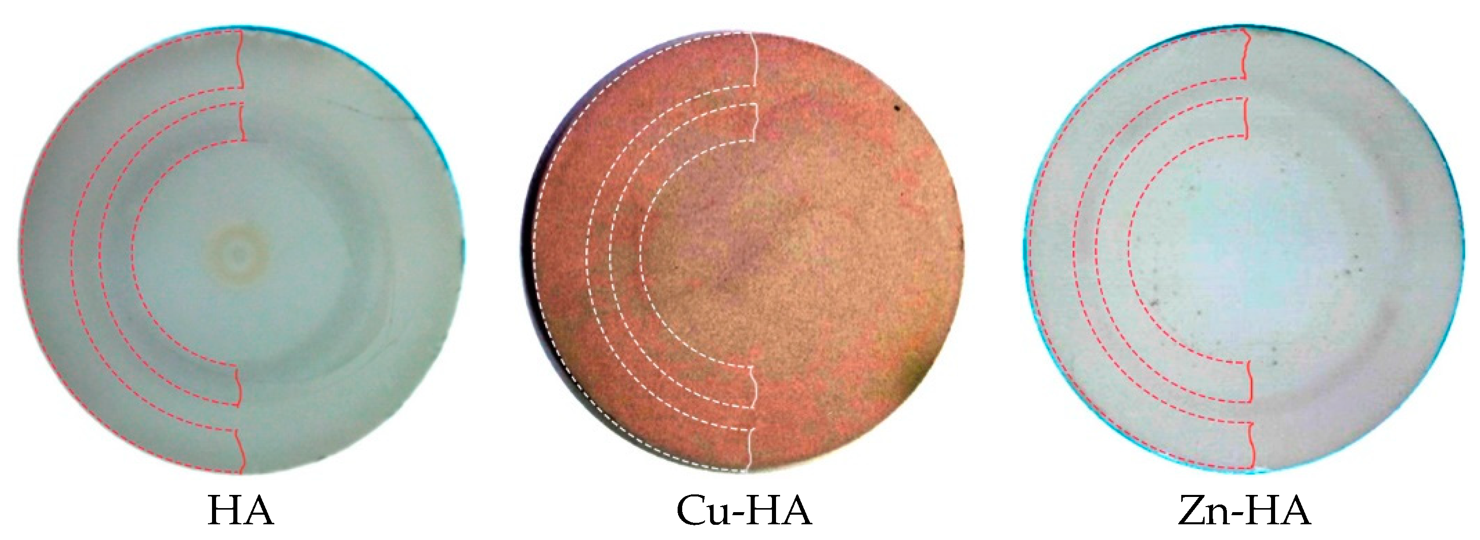 Materials 15 06828 g005