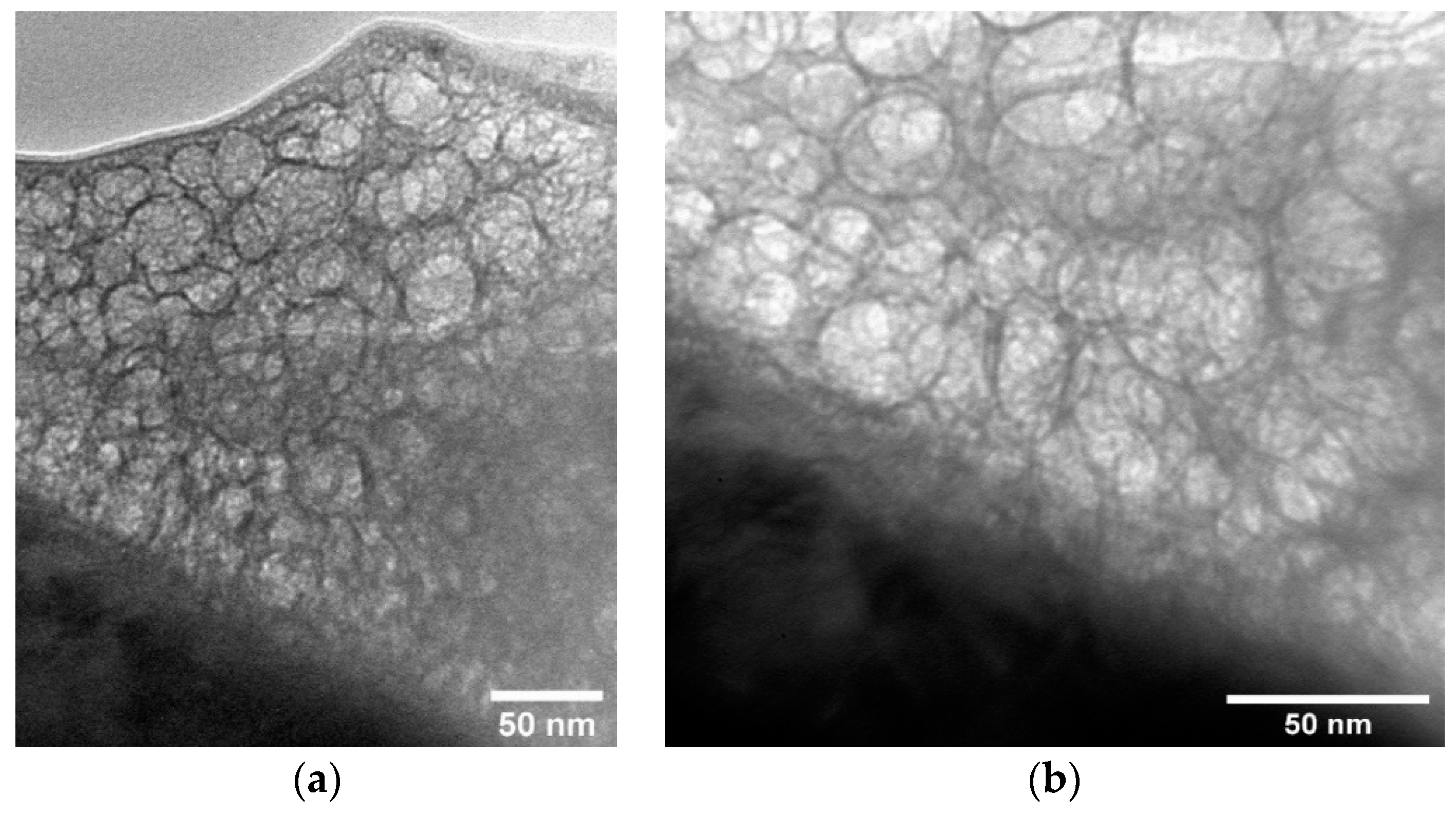 Materials 15 06828 g014