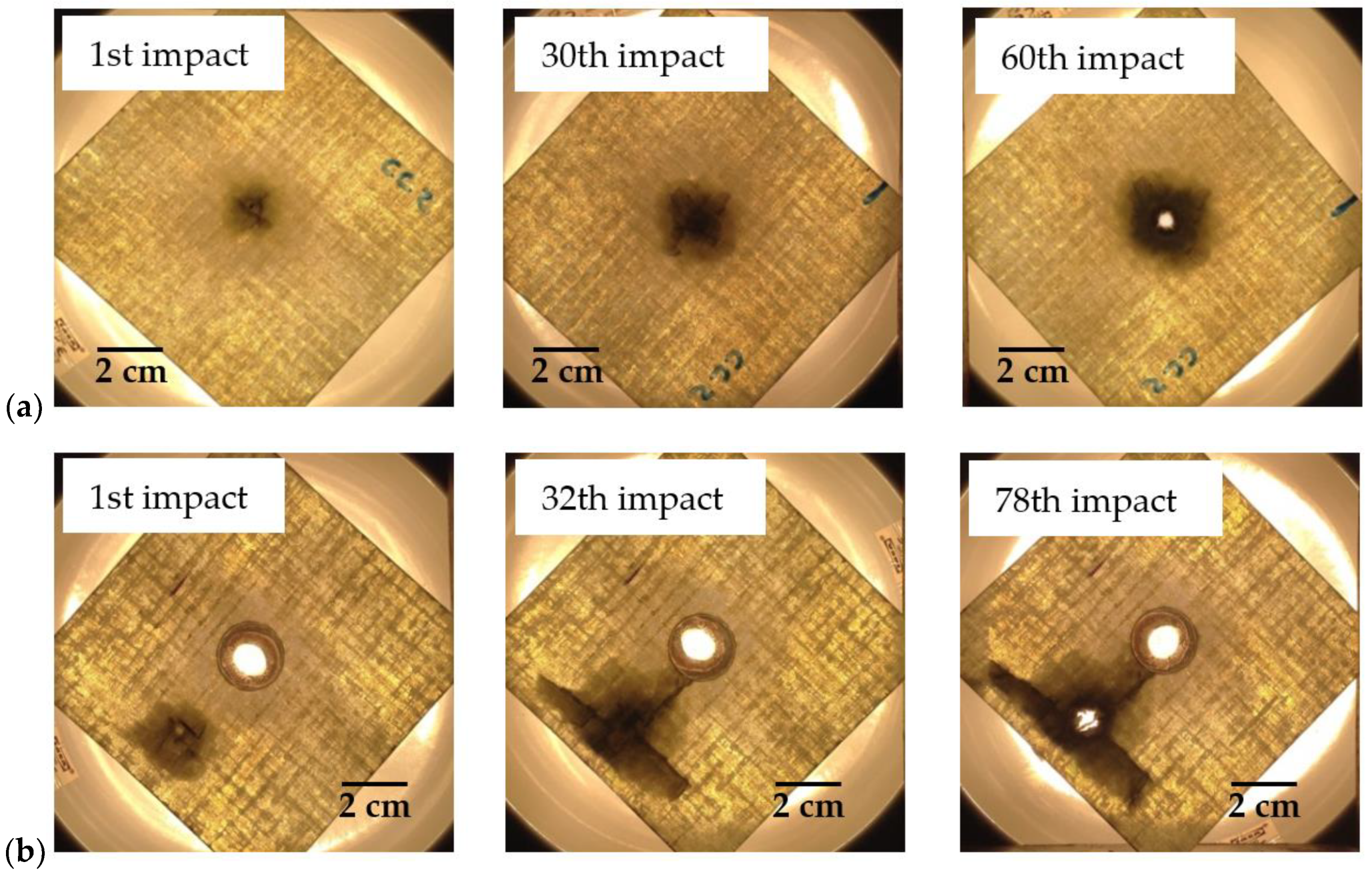 Materials 15 08039 g008