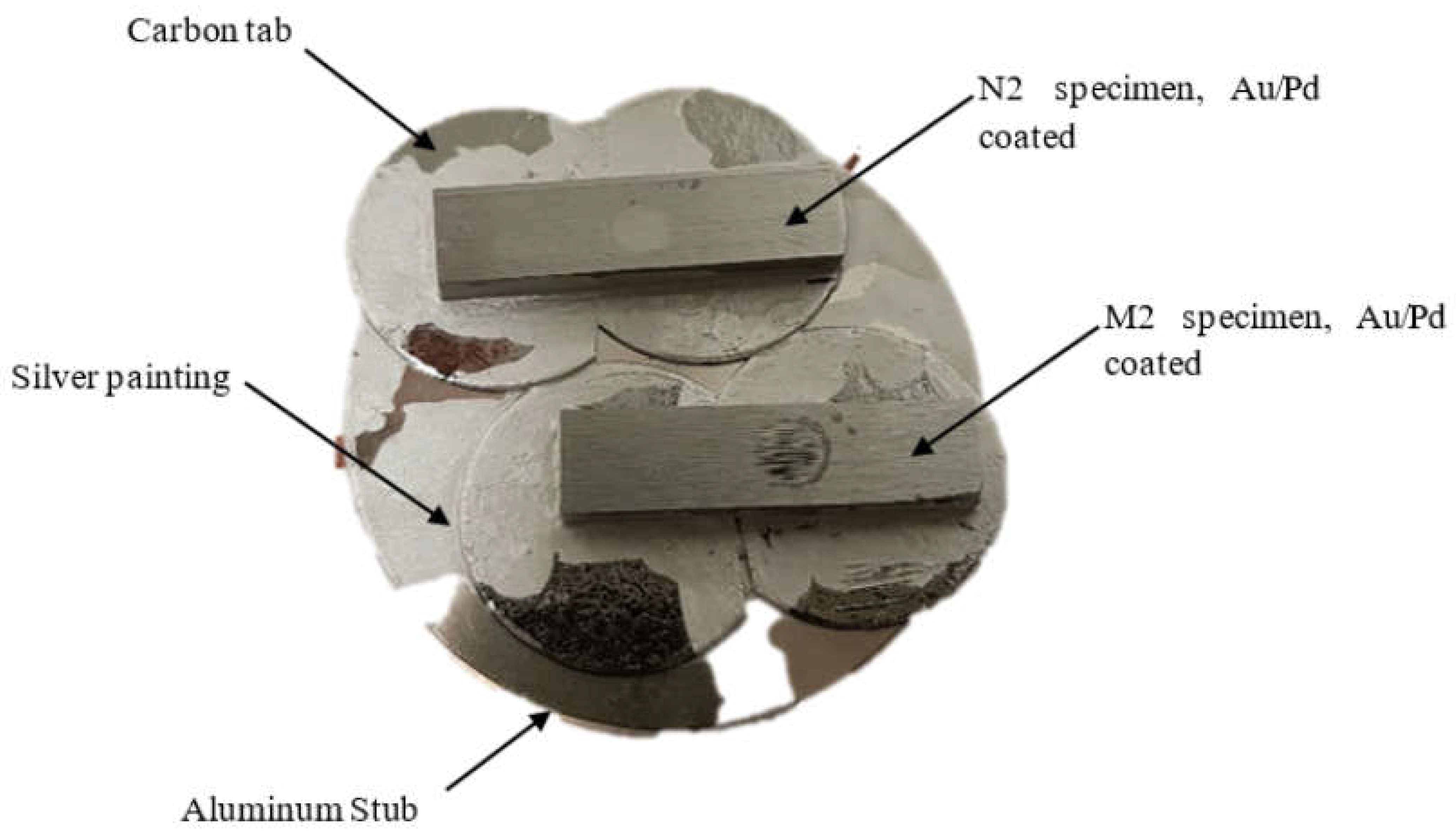 Materials 16 00341 g003