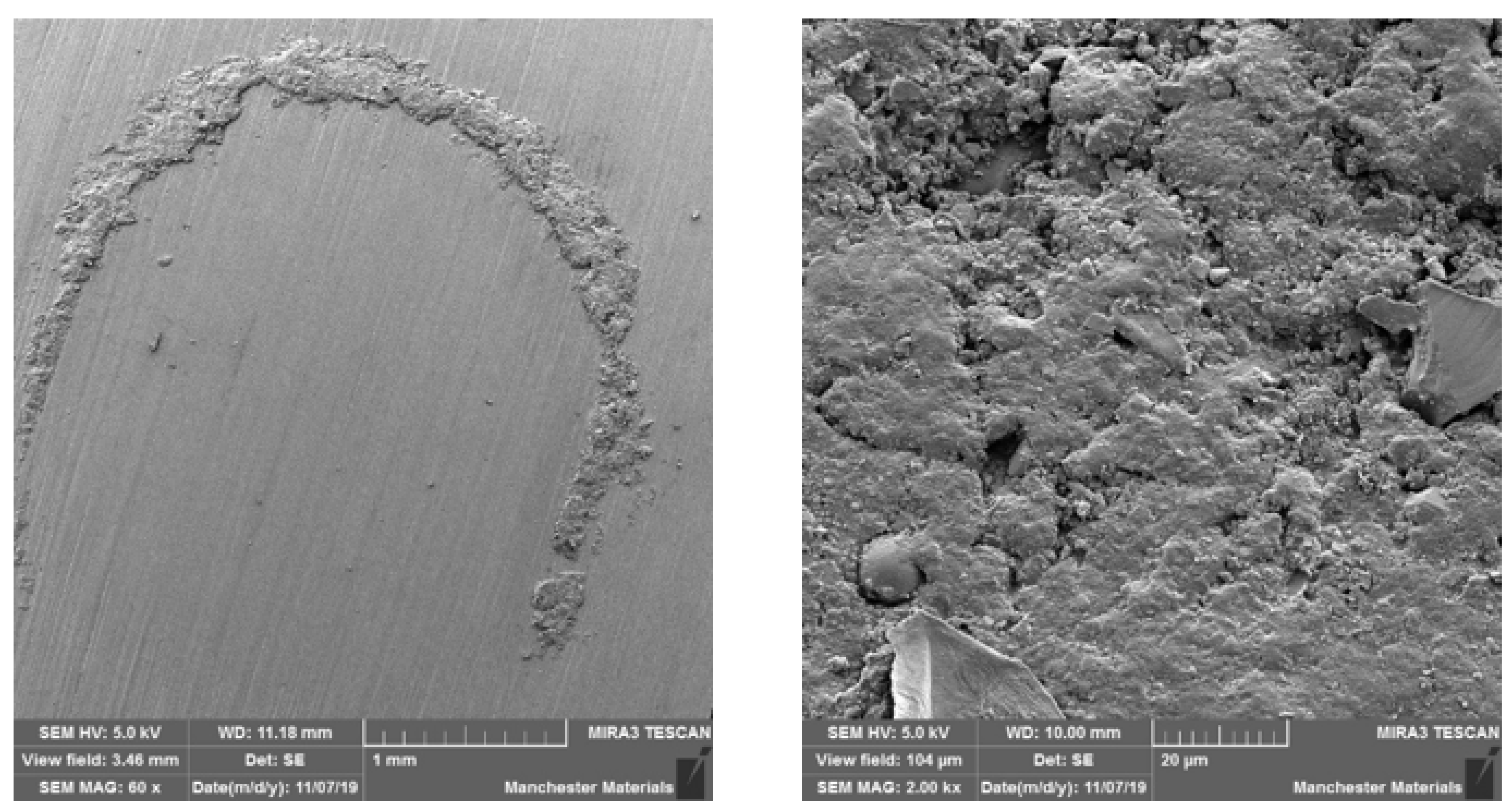 Materials 16 00341 g010