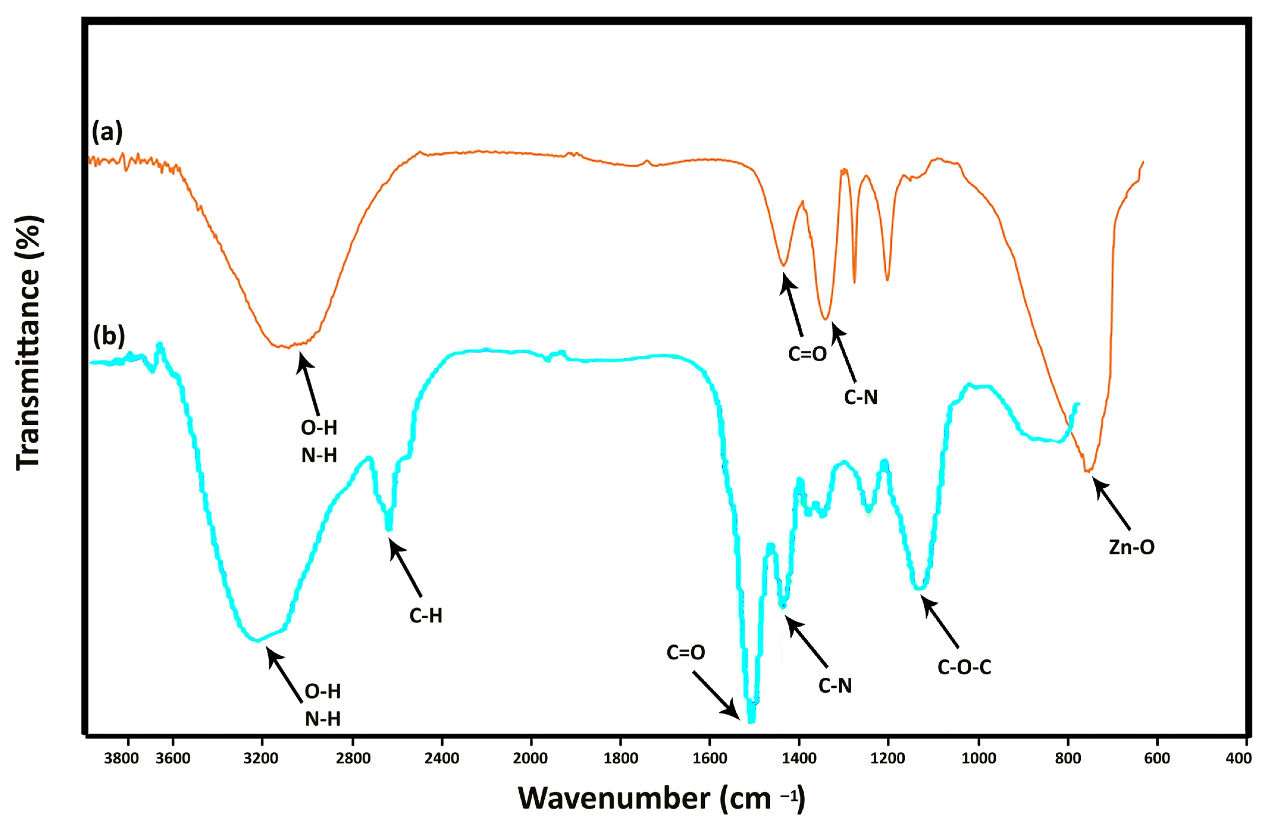 Materials 16 00842 g005