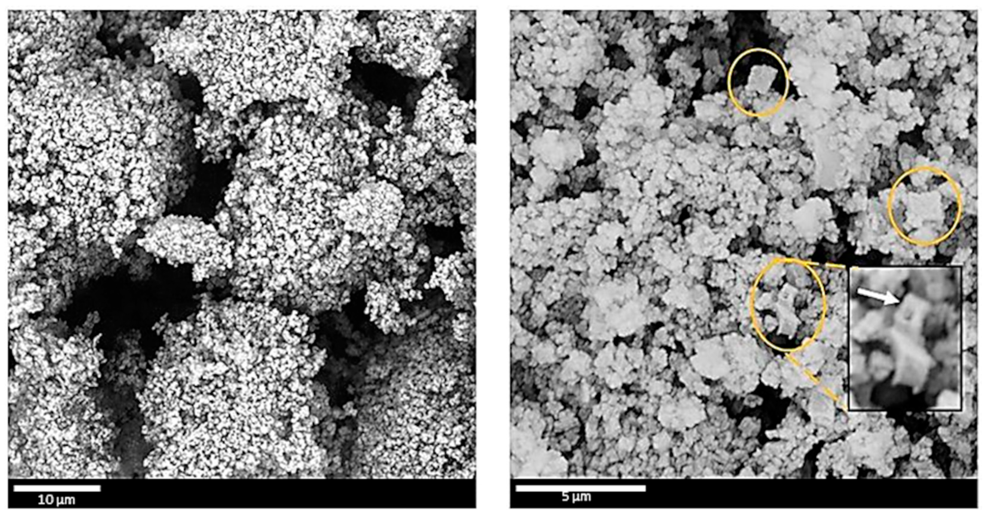 Materials 16 01018 g008