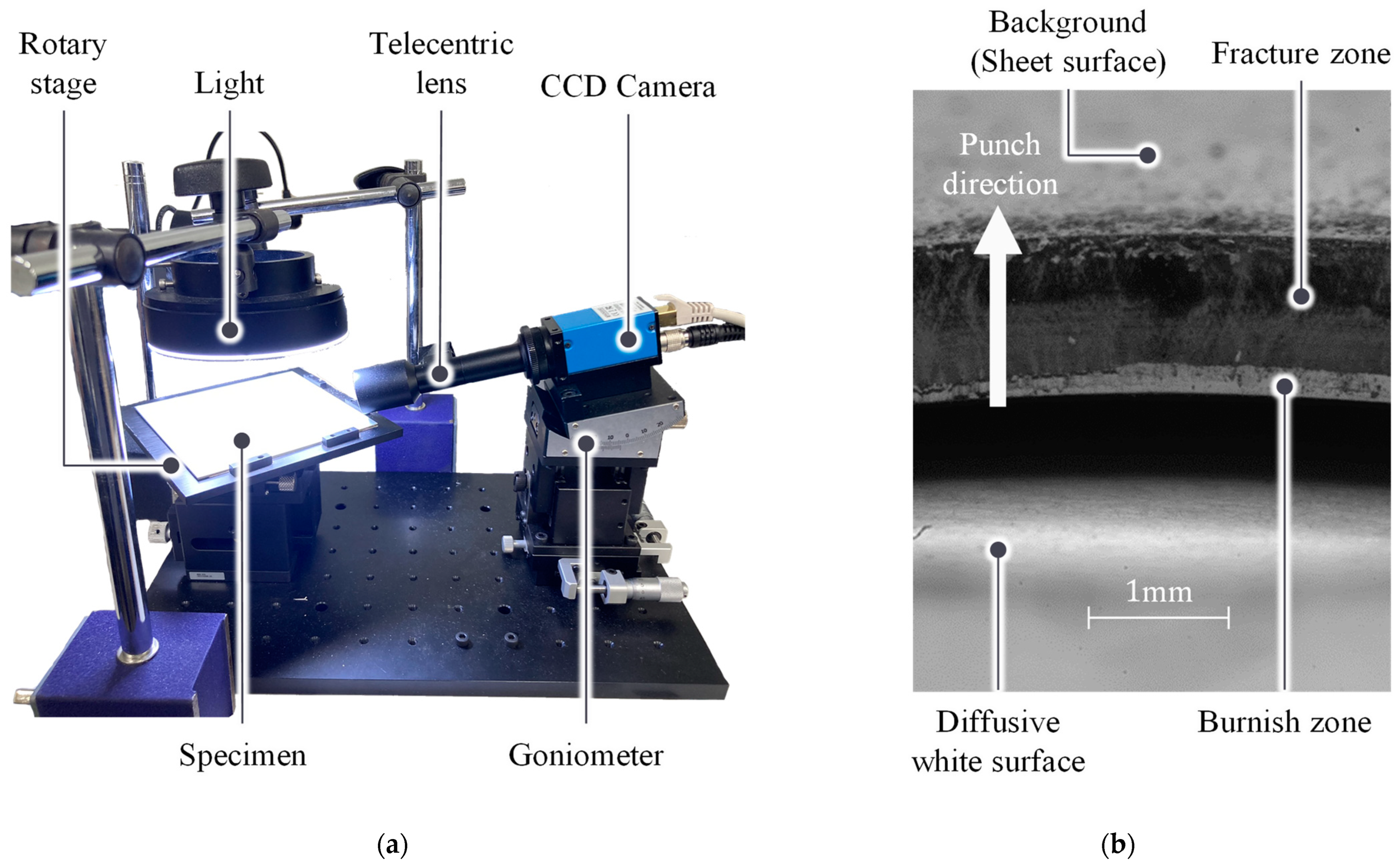 Materials 16 02847 g005