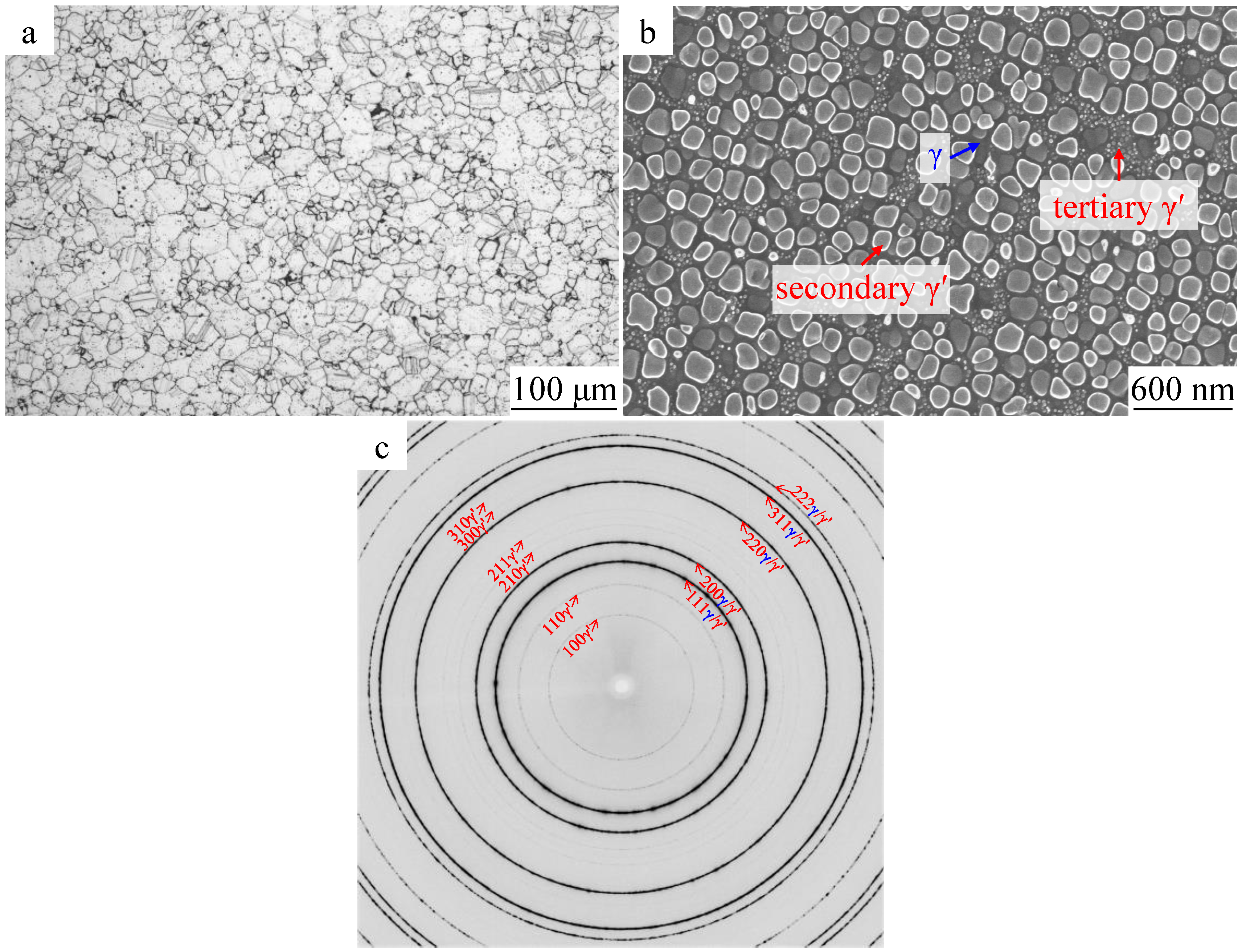 Materials 16 03761 g002