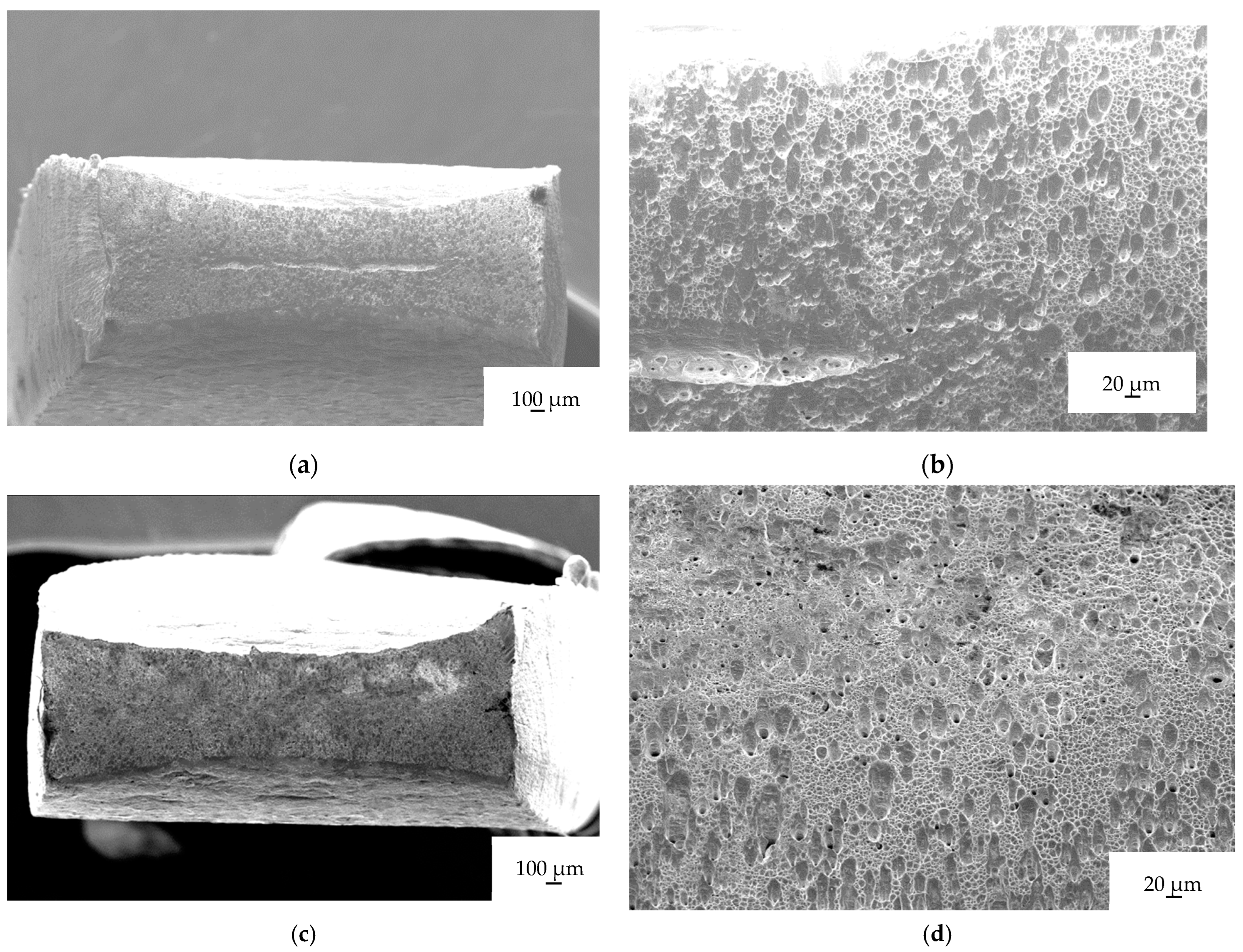 Materials 16 04119 g007a