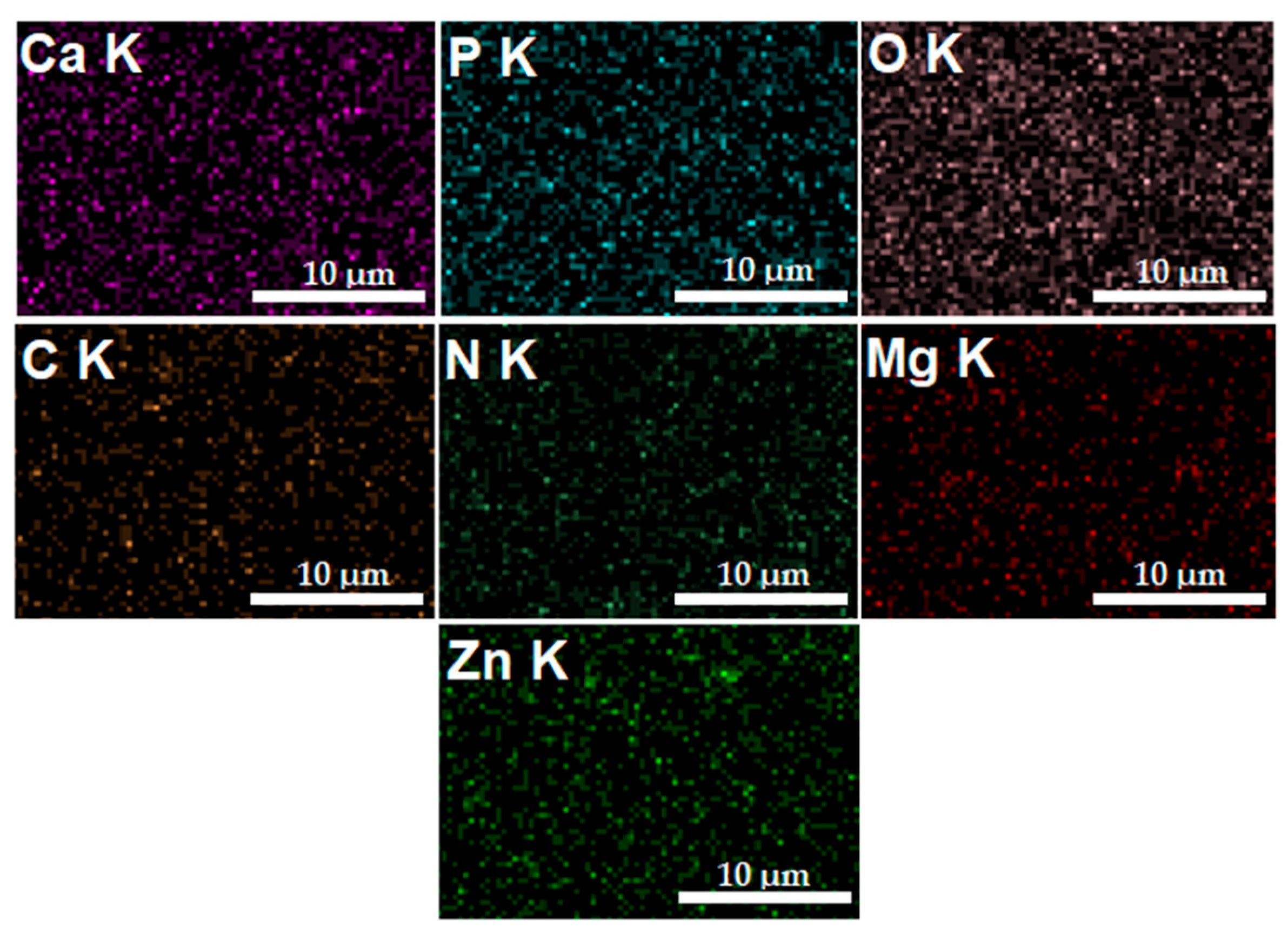 Materials 16 04412 g006