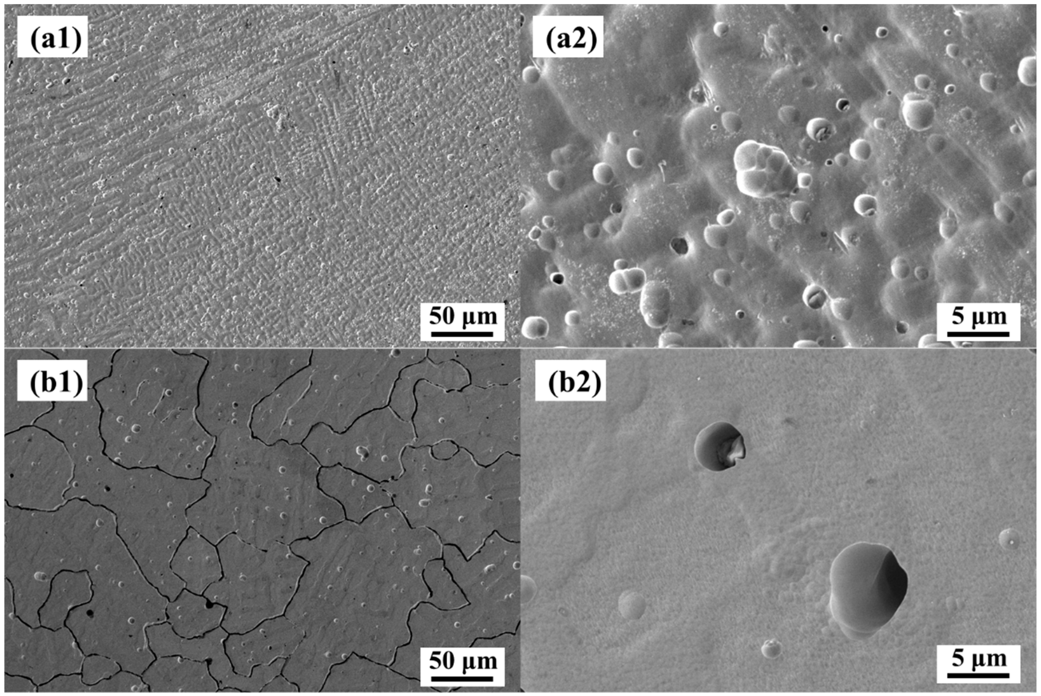 Materials 16 04701 g006