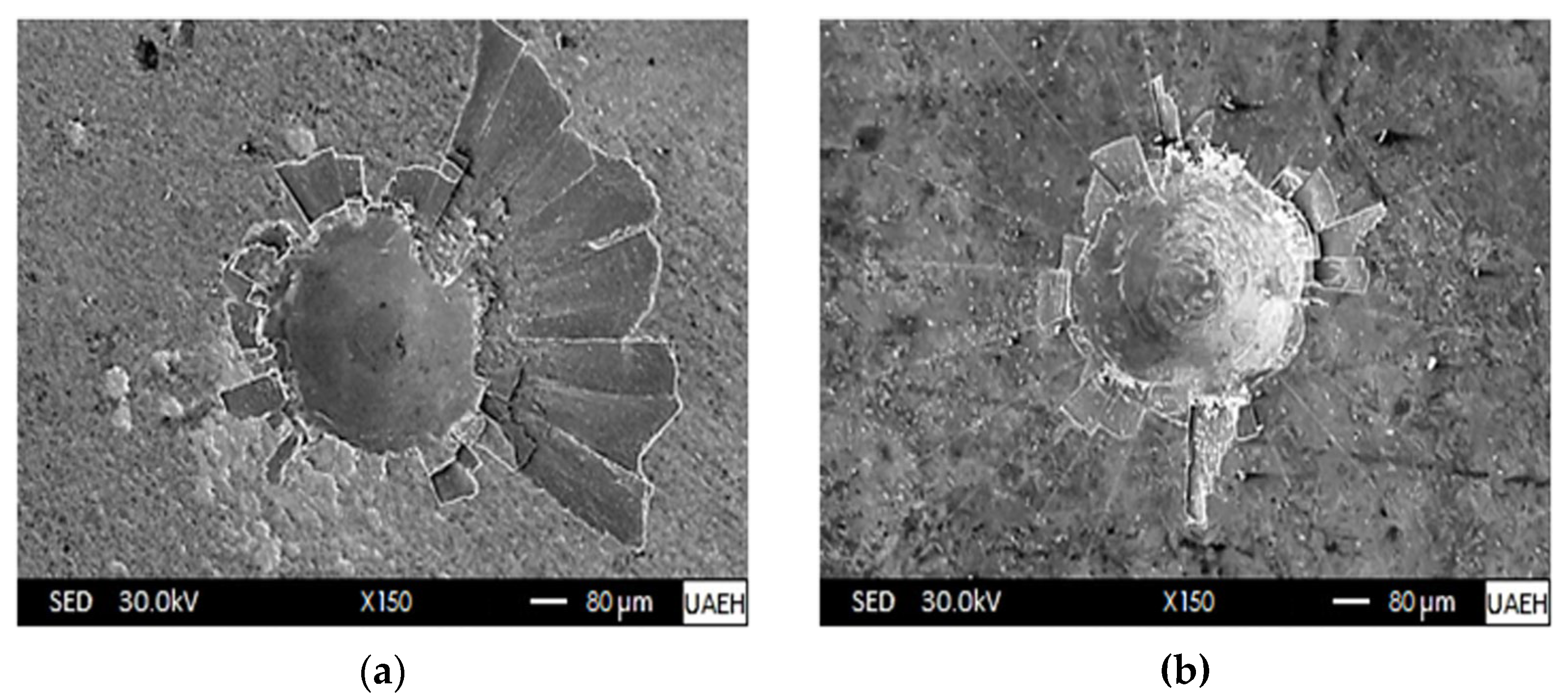 Materials 16 04801 g012