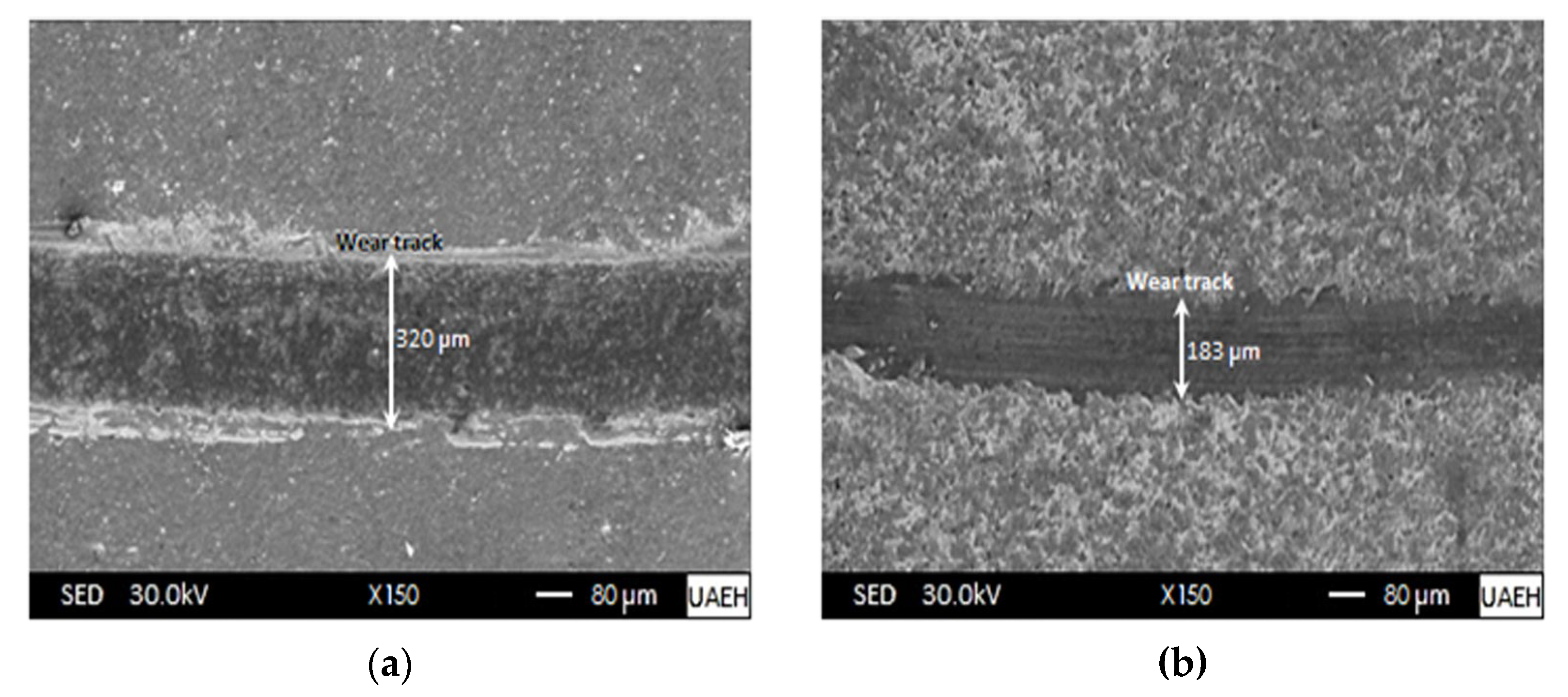 Materials 16 04801 g014