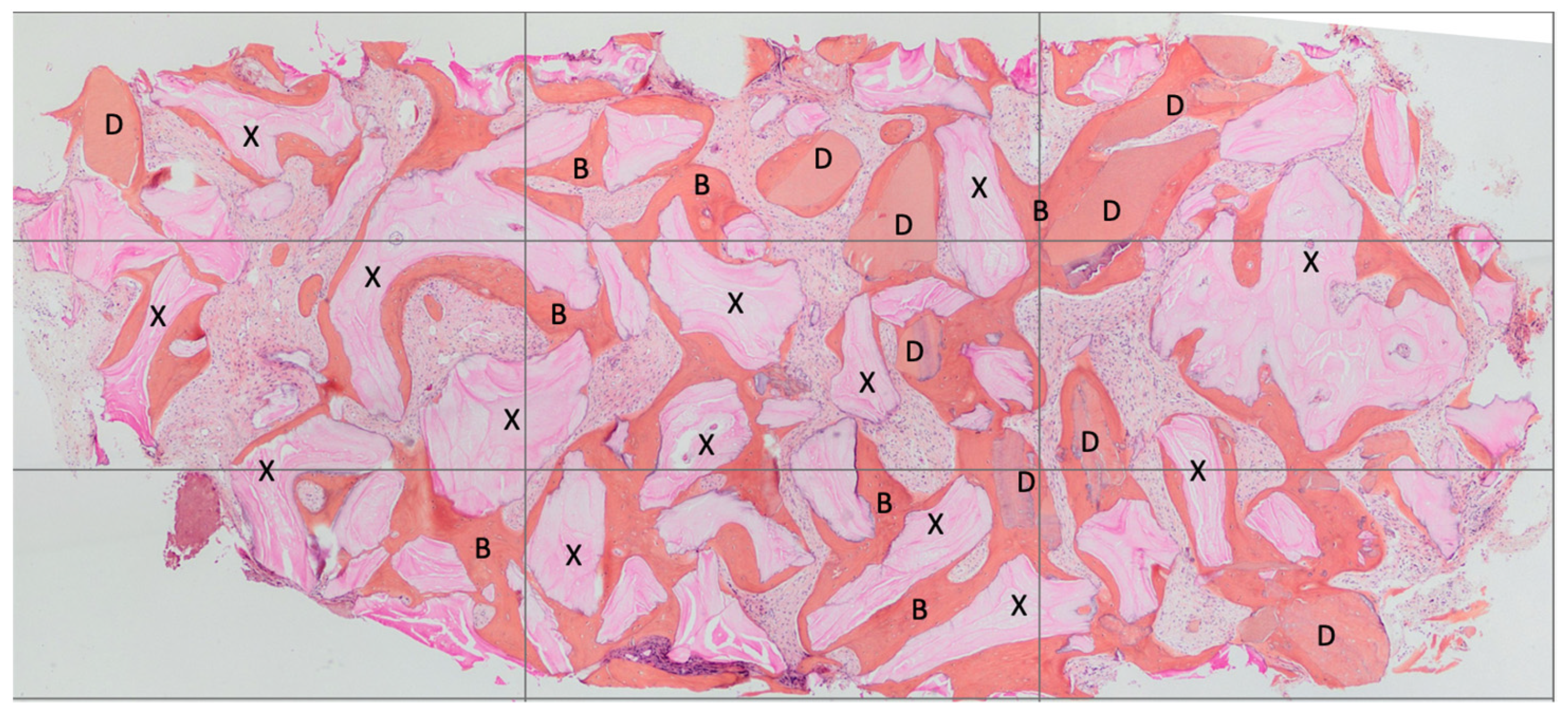 Materials 16 04945 g003