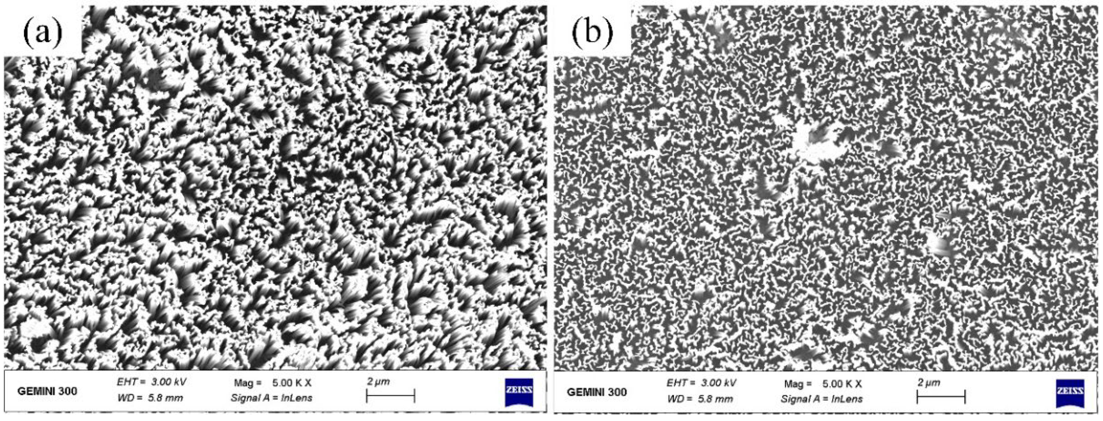Materials 16 05483 g005