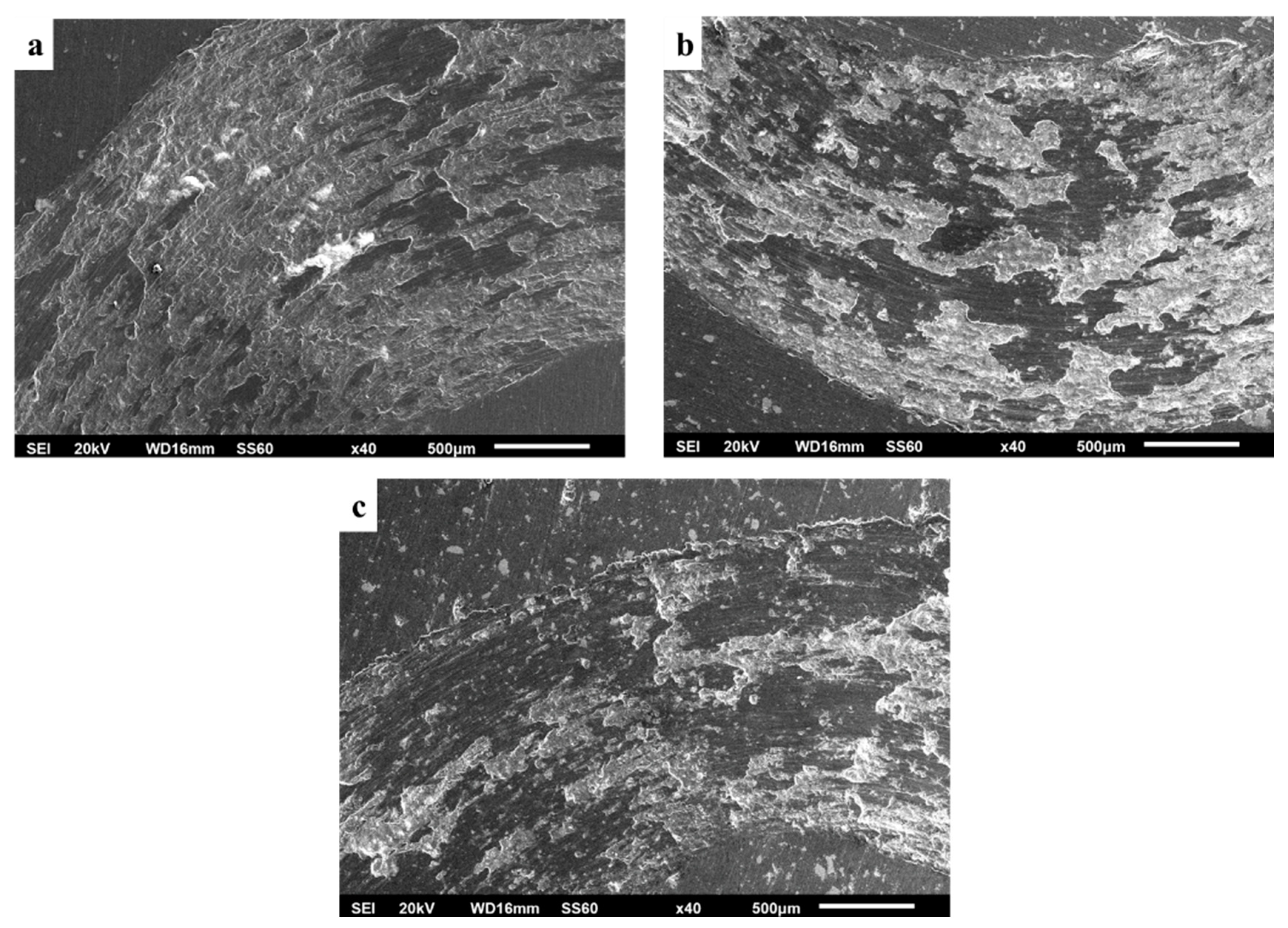 Materials 16 05491 g019