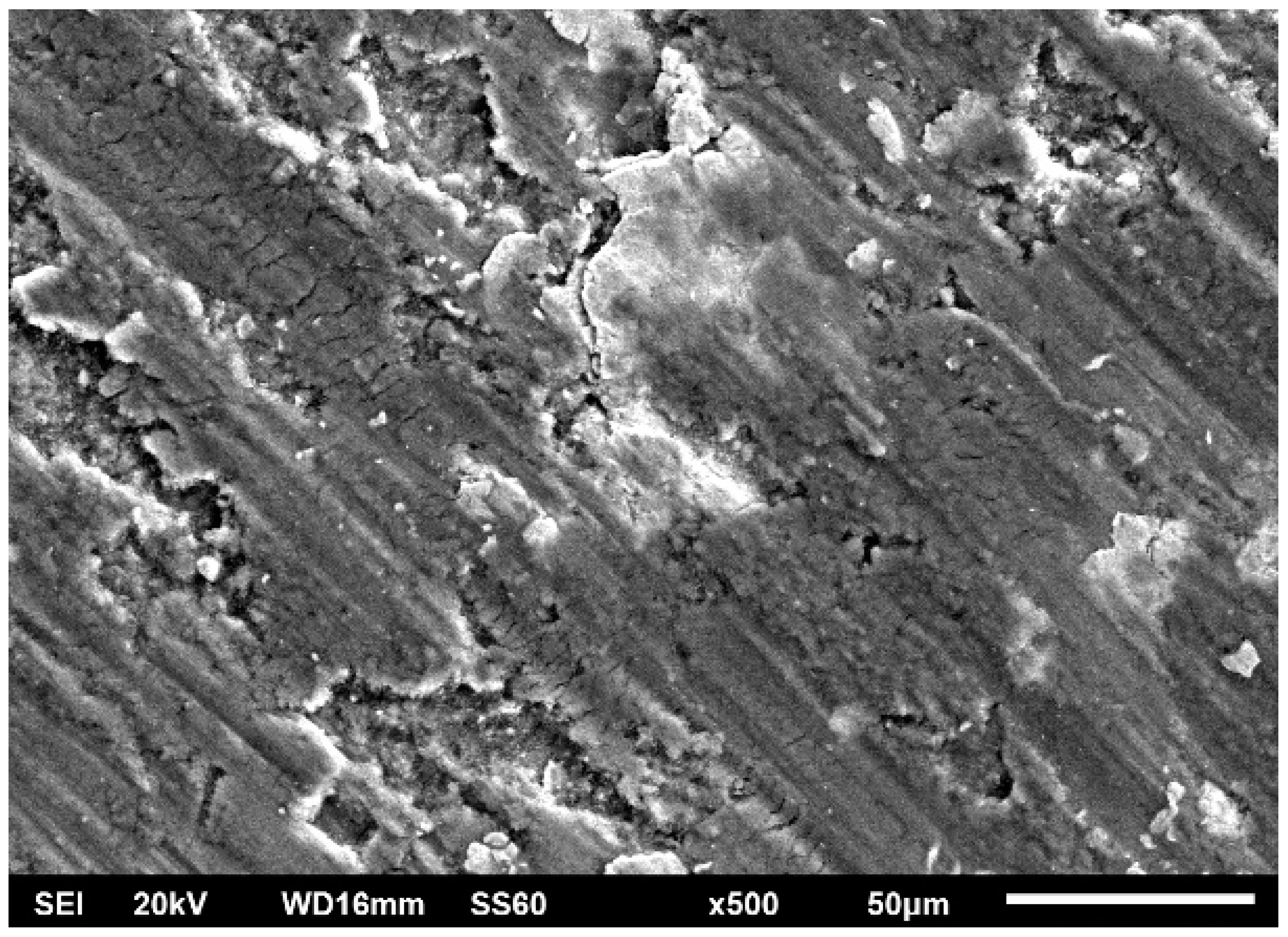 Materials 16 05491 g021