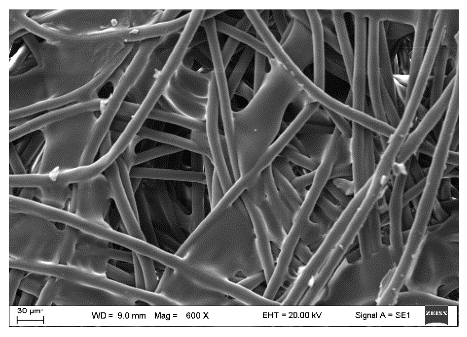 Materials 16 06079 g001