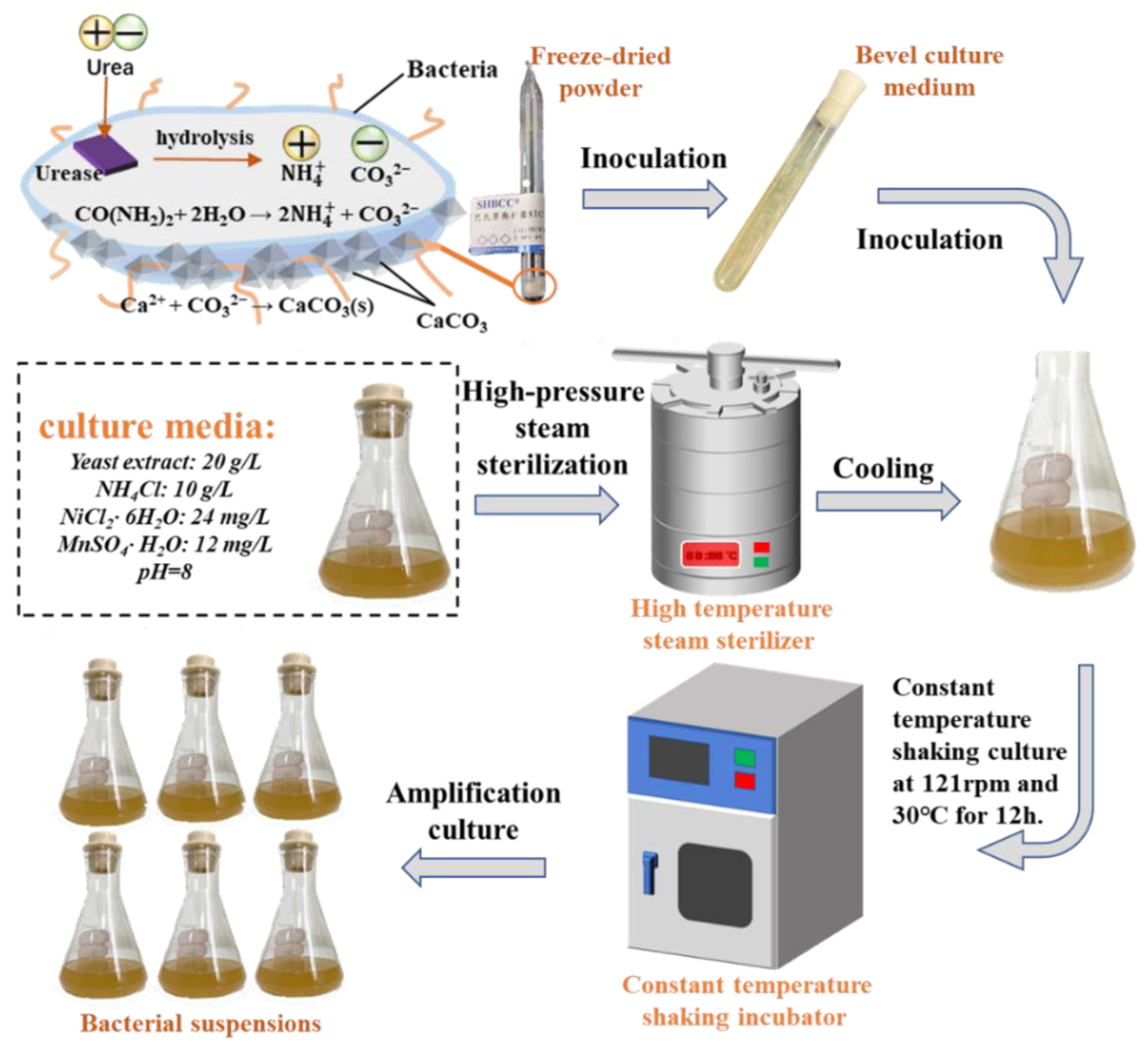 Materials 16 06348 g001