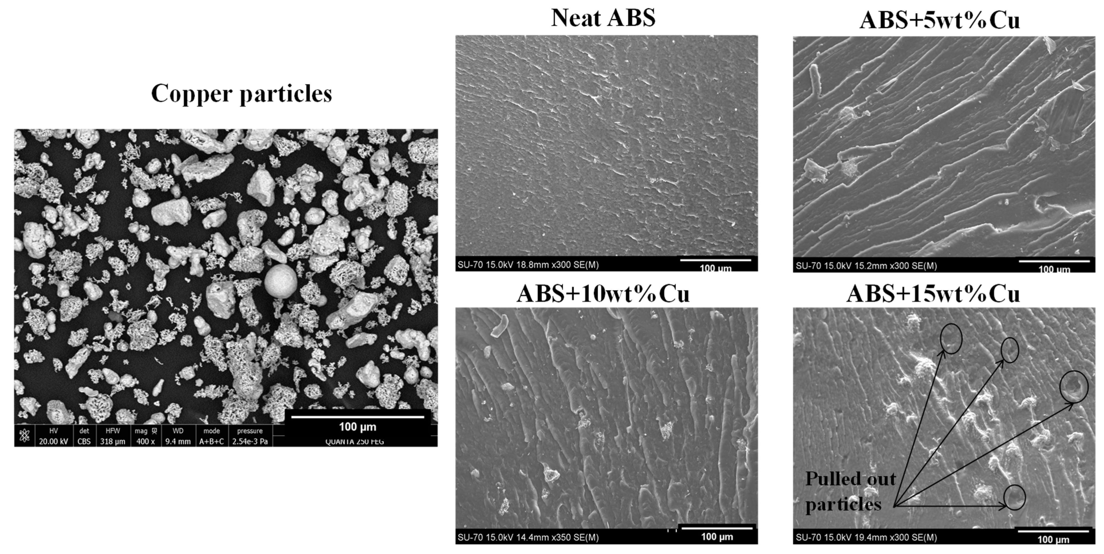 Materials 16 06428 g003