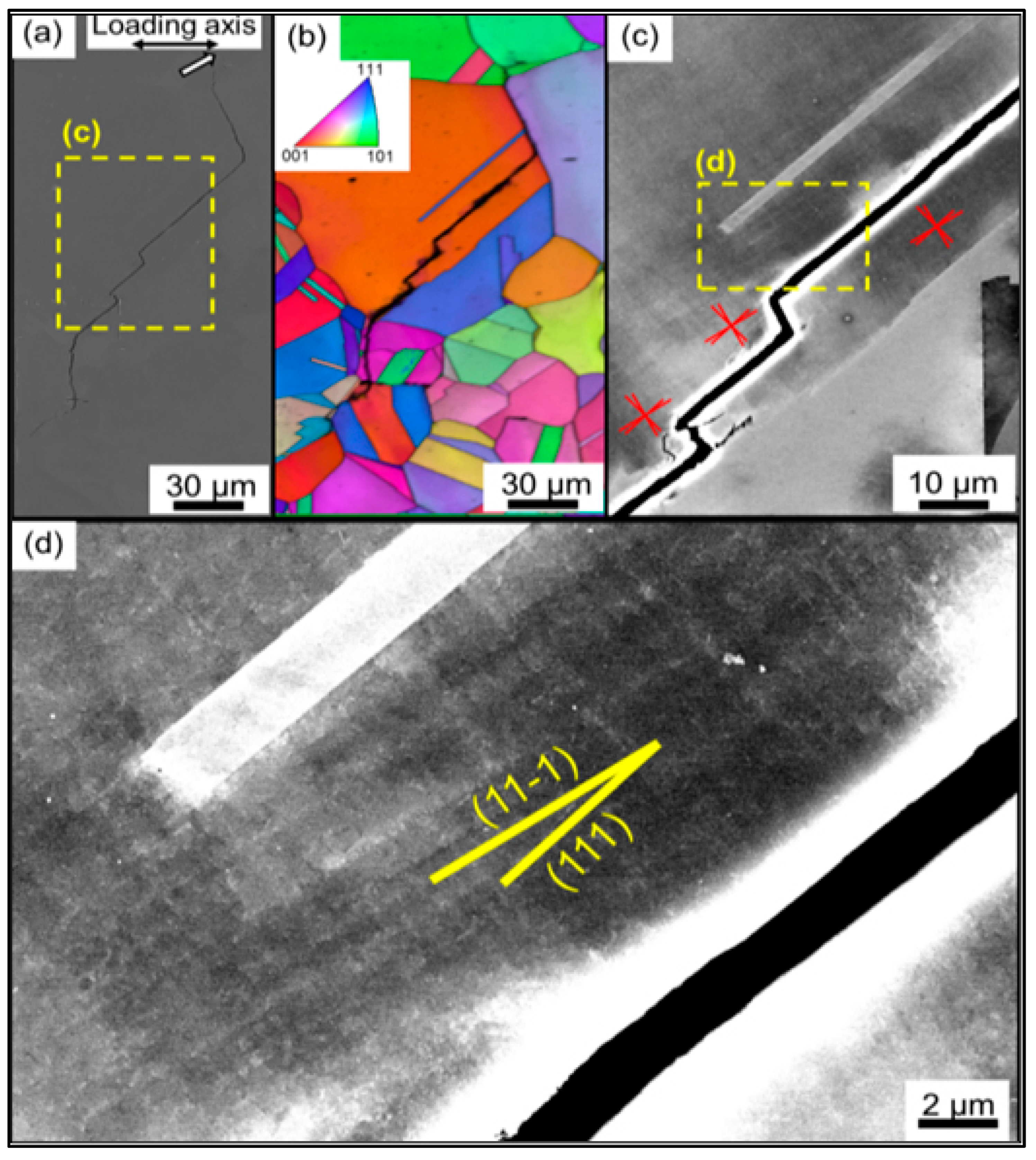 Materials 16 07552 g002