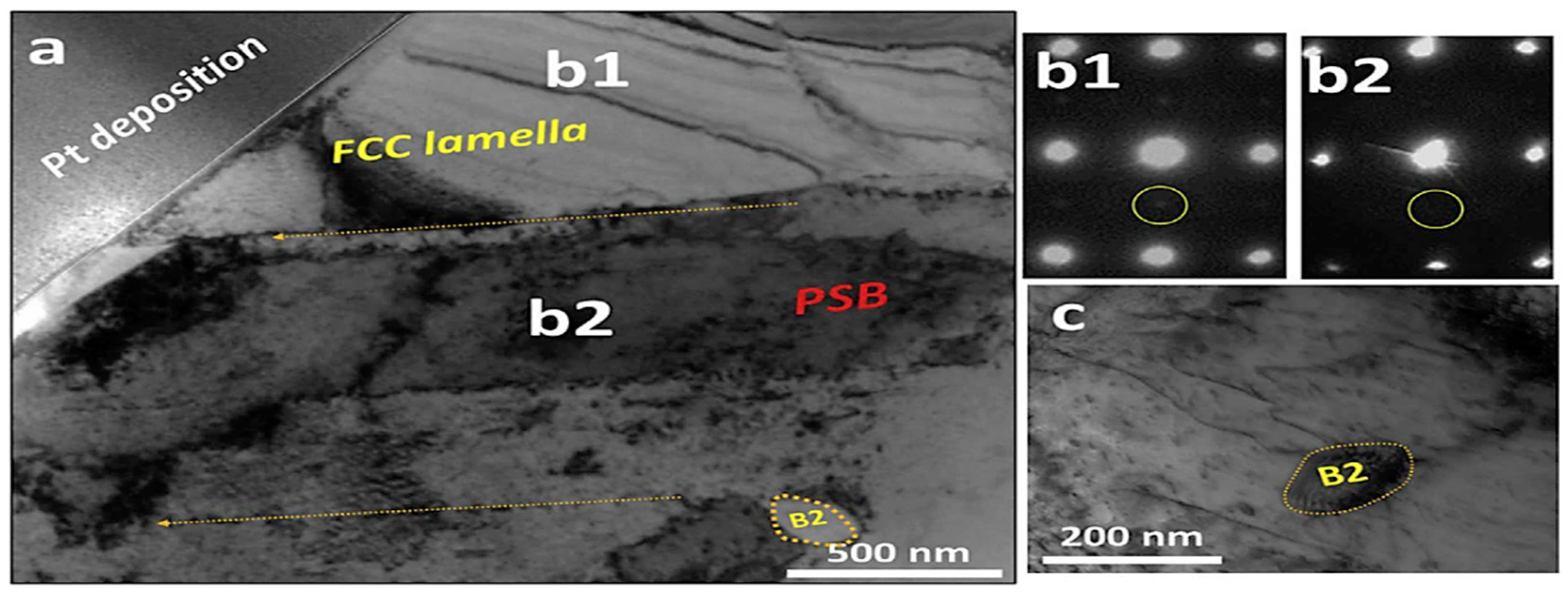 Materials 16 07552 g005