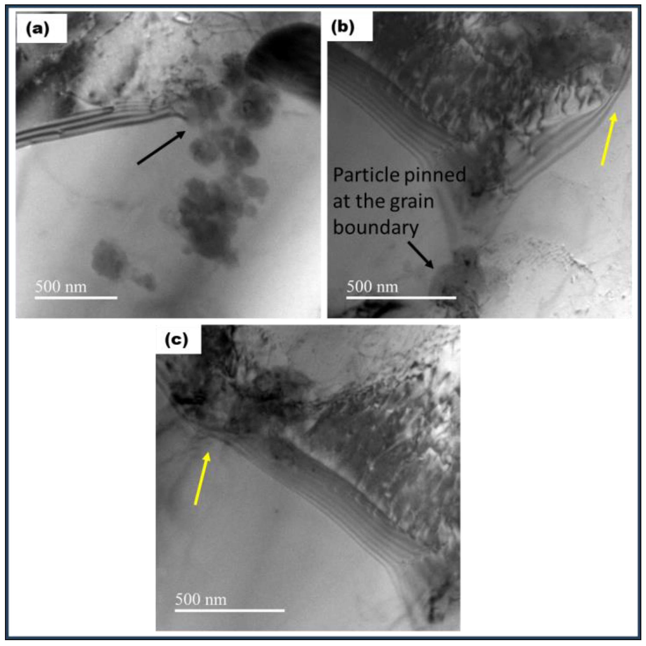 Materials 17 00084 g015