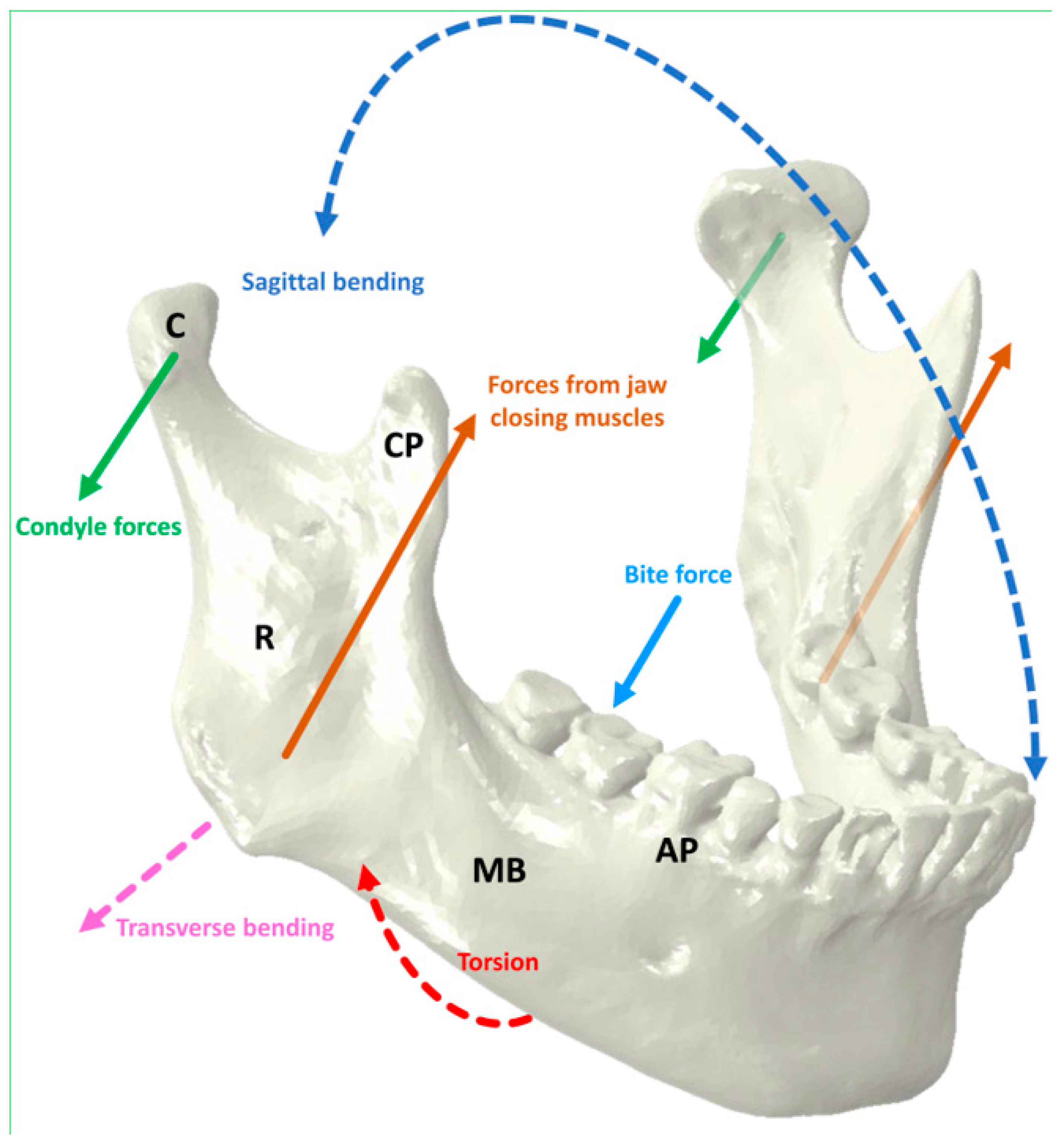 Materials 17 00140 g001