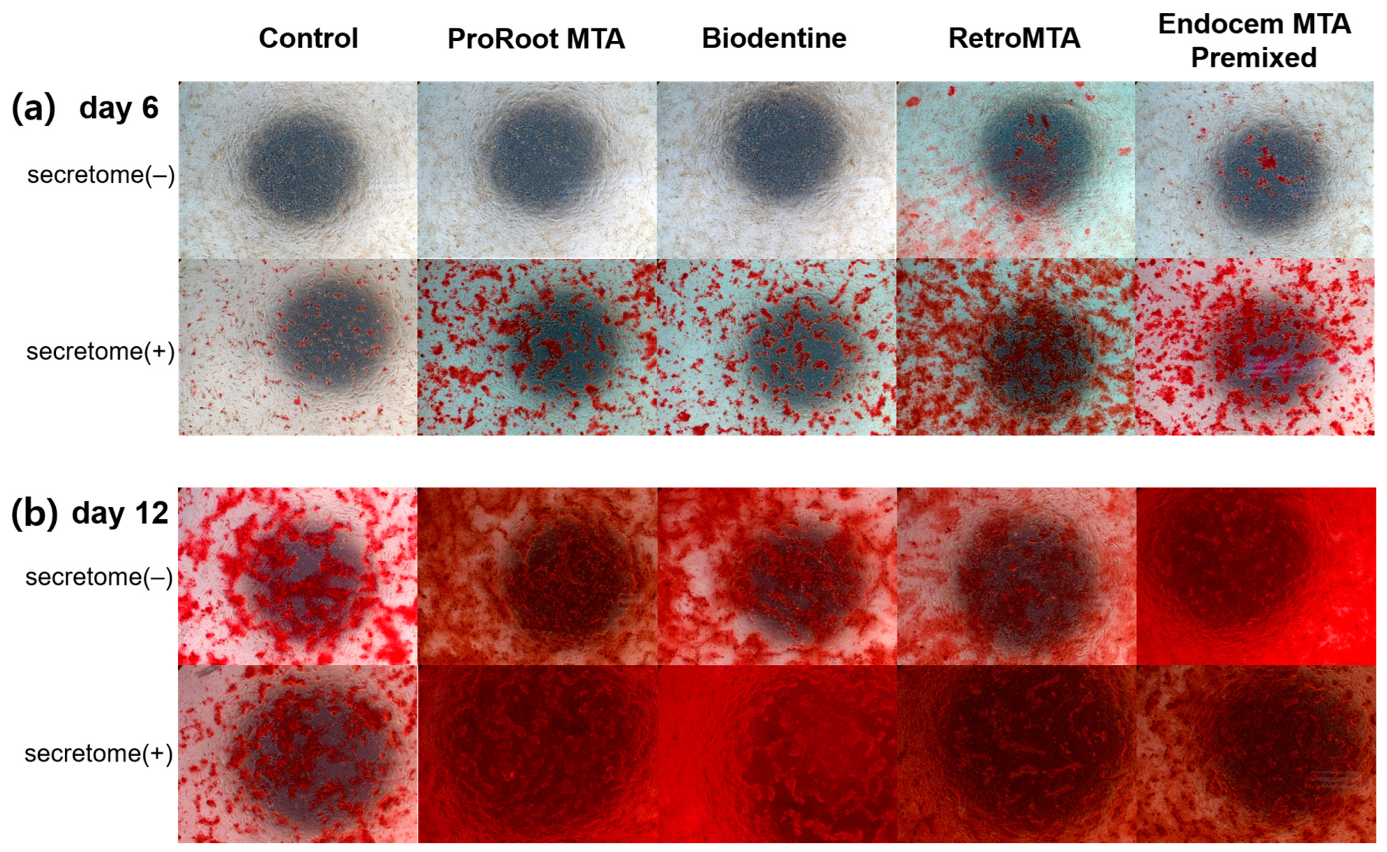 Materials 17 00305 g006