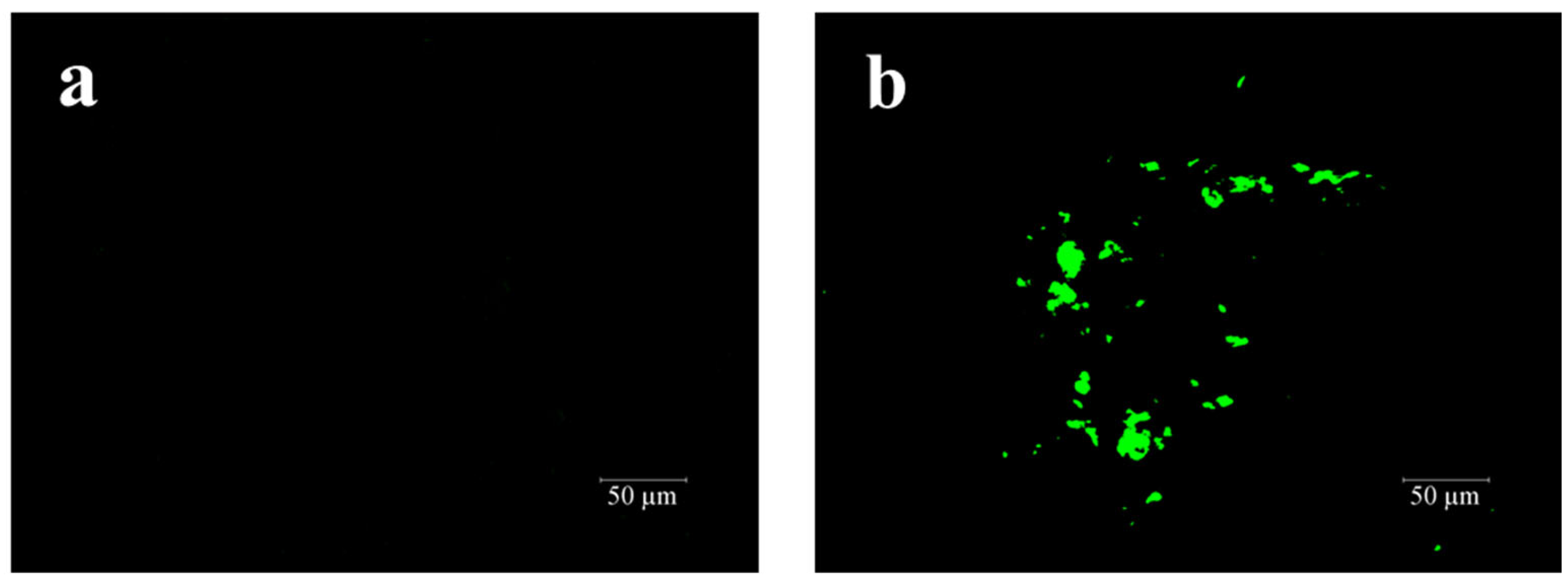 Materials 17 00436 g016